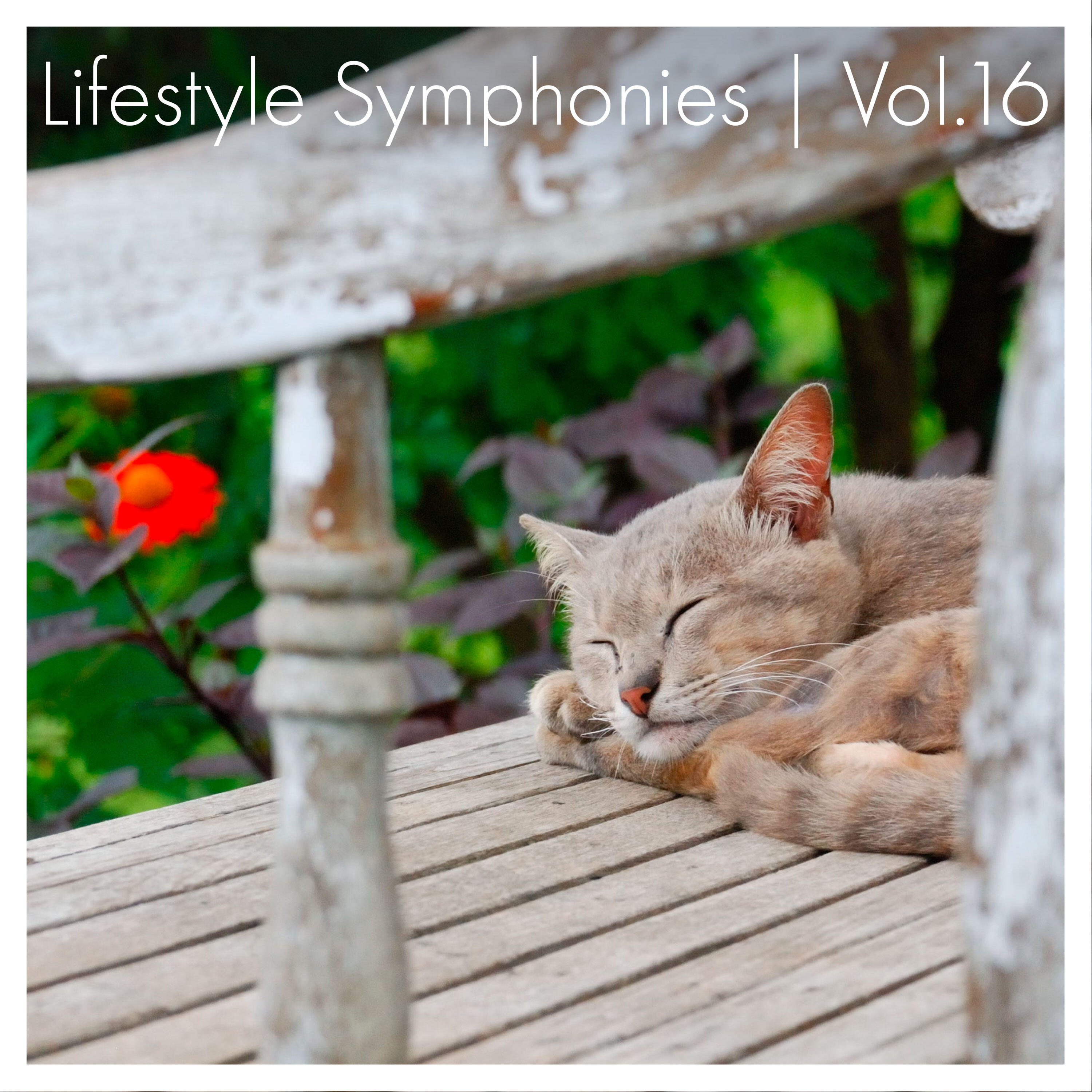 Релиз Lifestyle Symphonies, Vol. 16