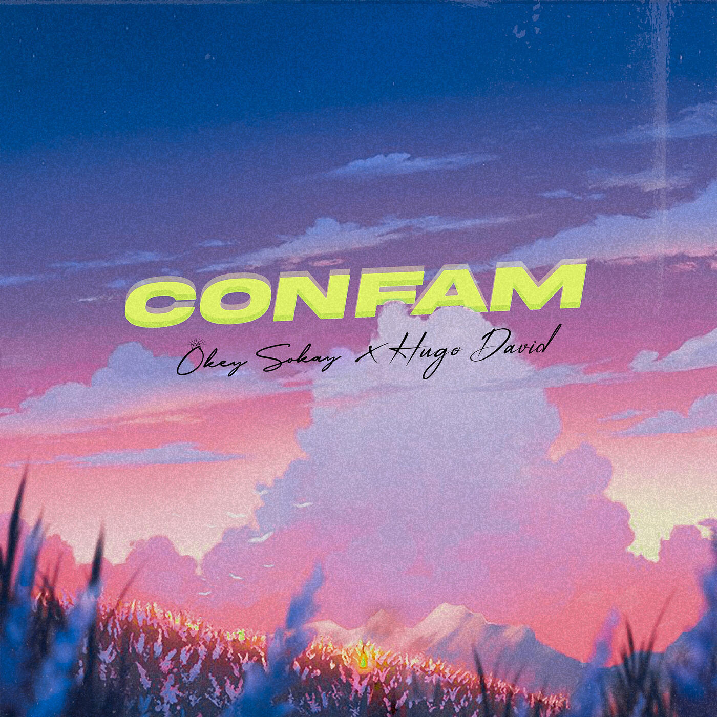 Релиз Confam