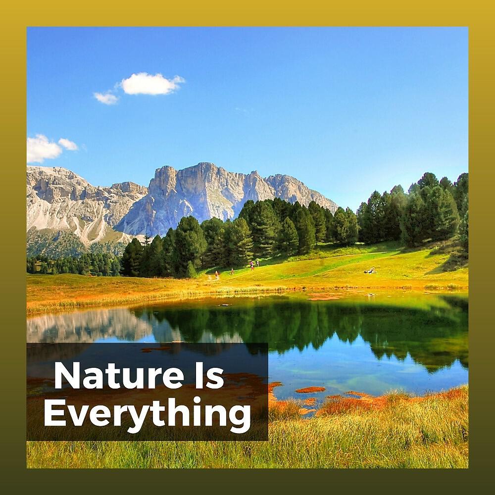 Релиз Nature Is Everything