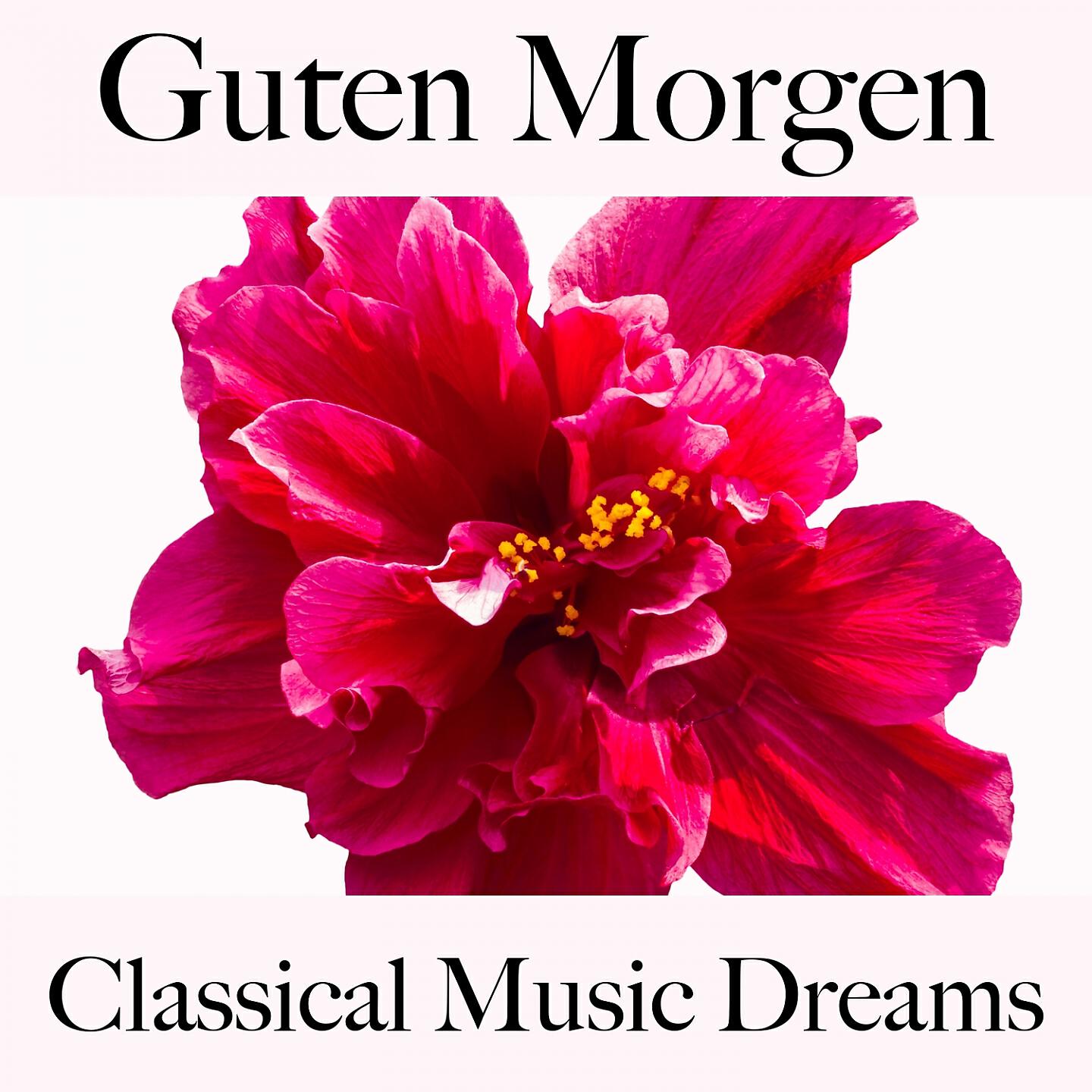 Релиз Guten Morgen: Classical Music Dreams - Die Beste Musik Zum Entspannen