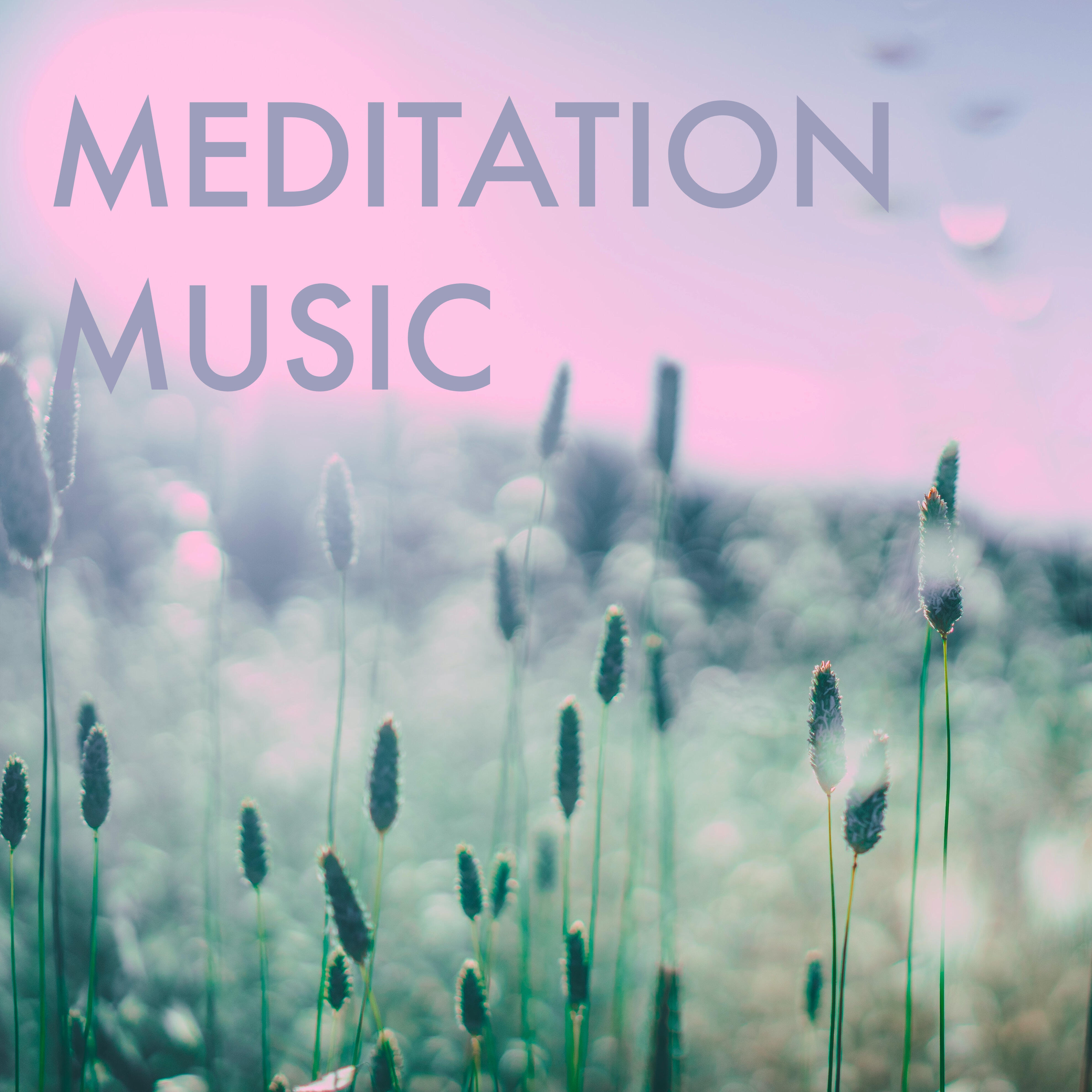 Релиз Music for Peace