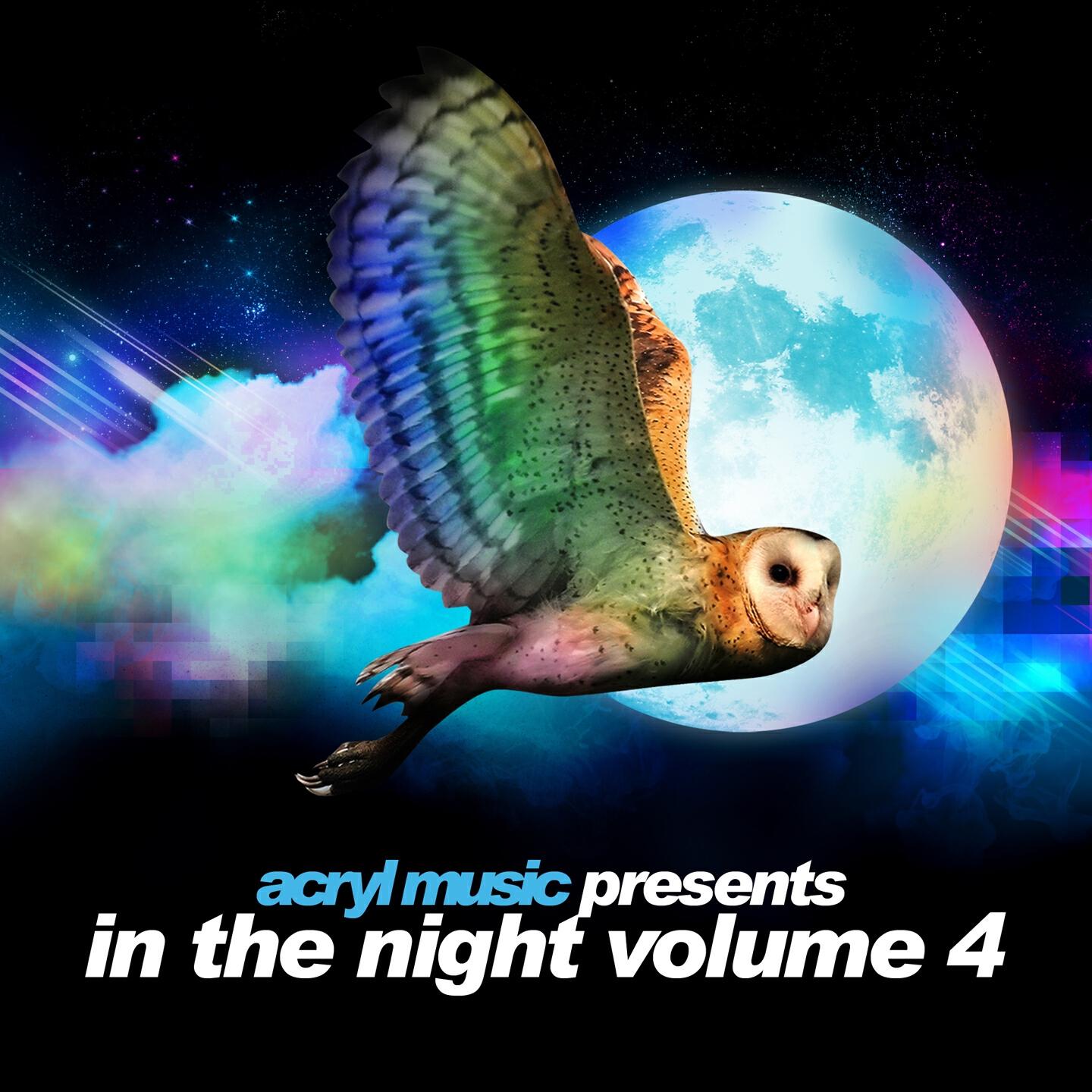 Релиз In The Night, Vol. 4
