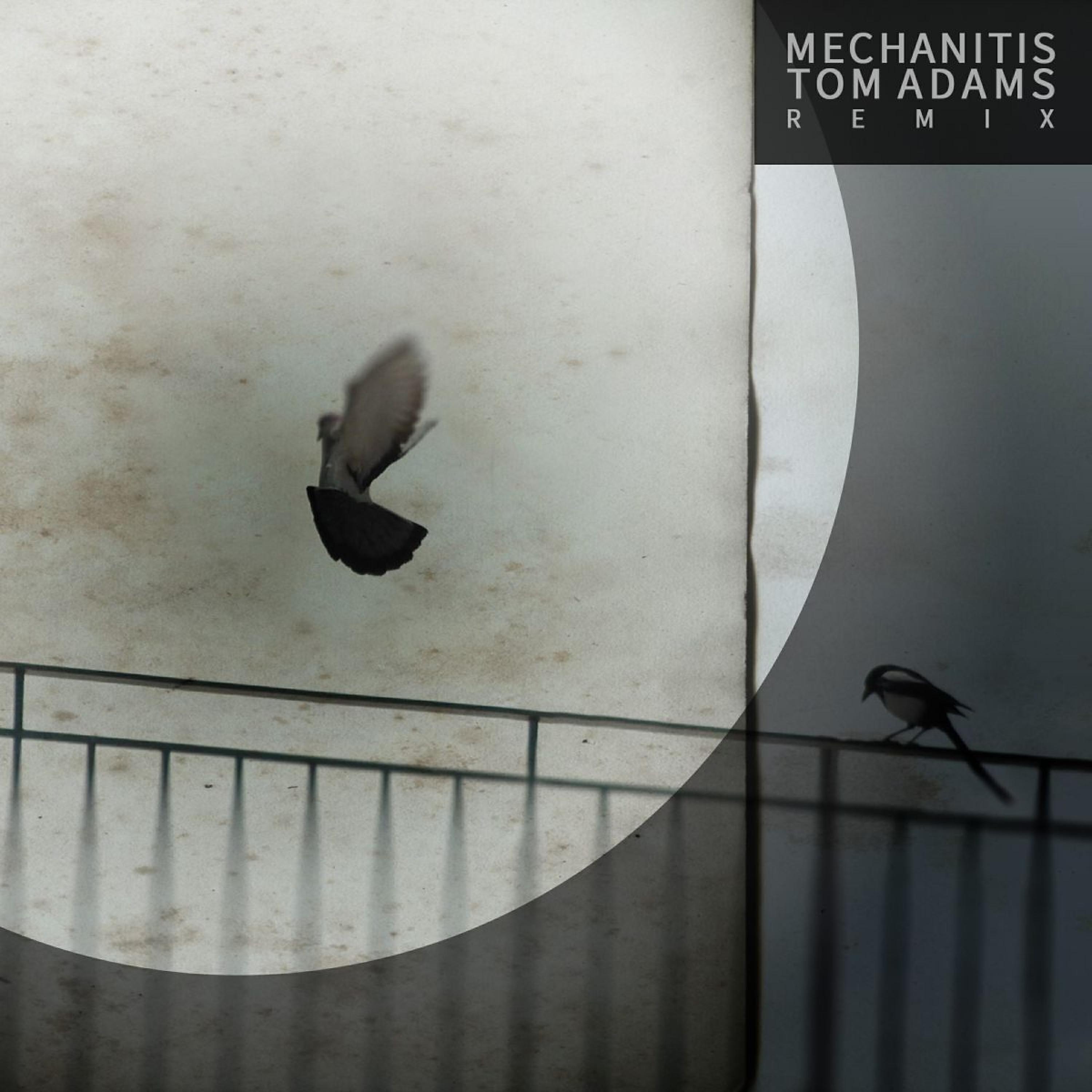 Mechanitis