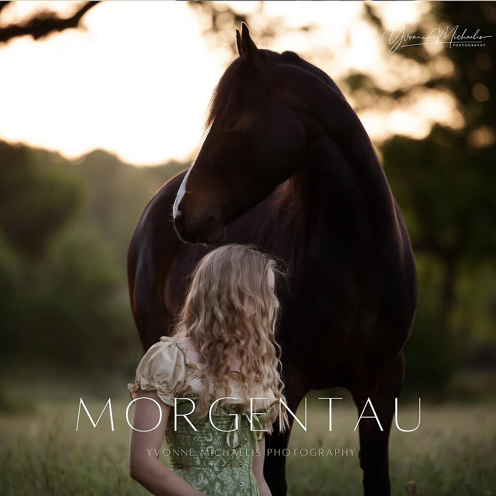 Релиз Morgentau