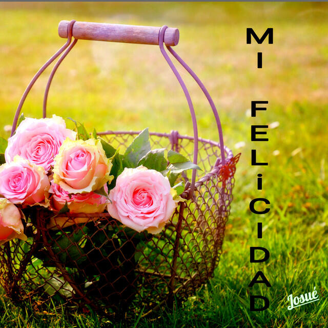Релиз Mí felicidad (Versión instrumental)