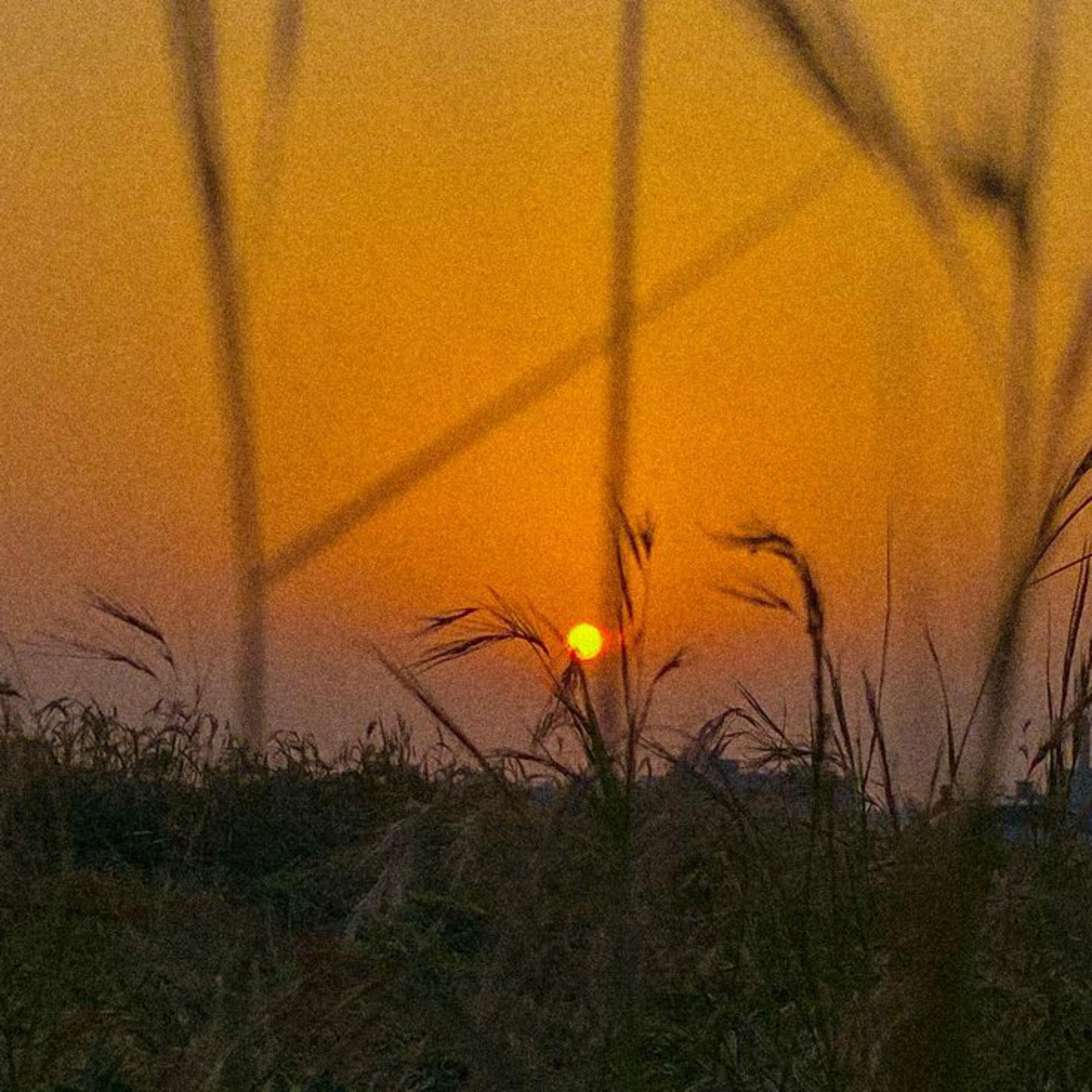 Релиз Fall for You