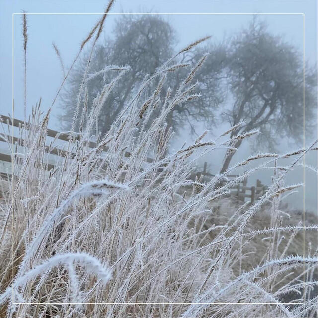 Релиз Coventry Carol