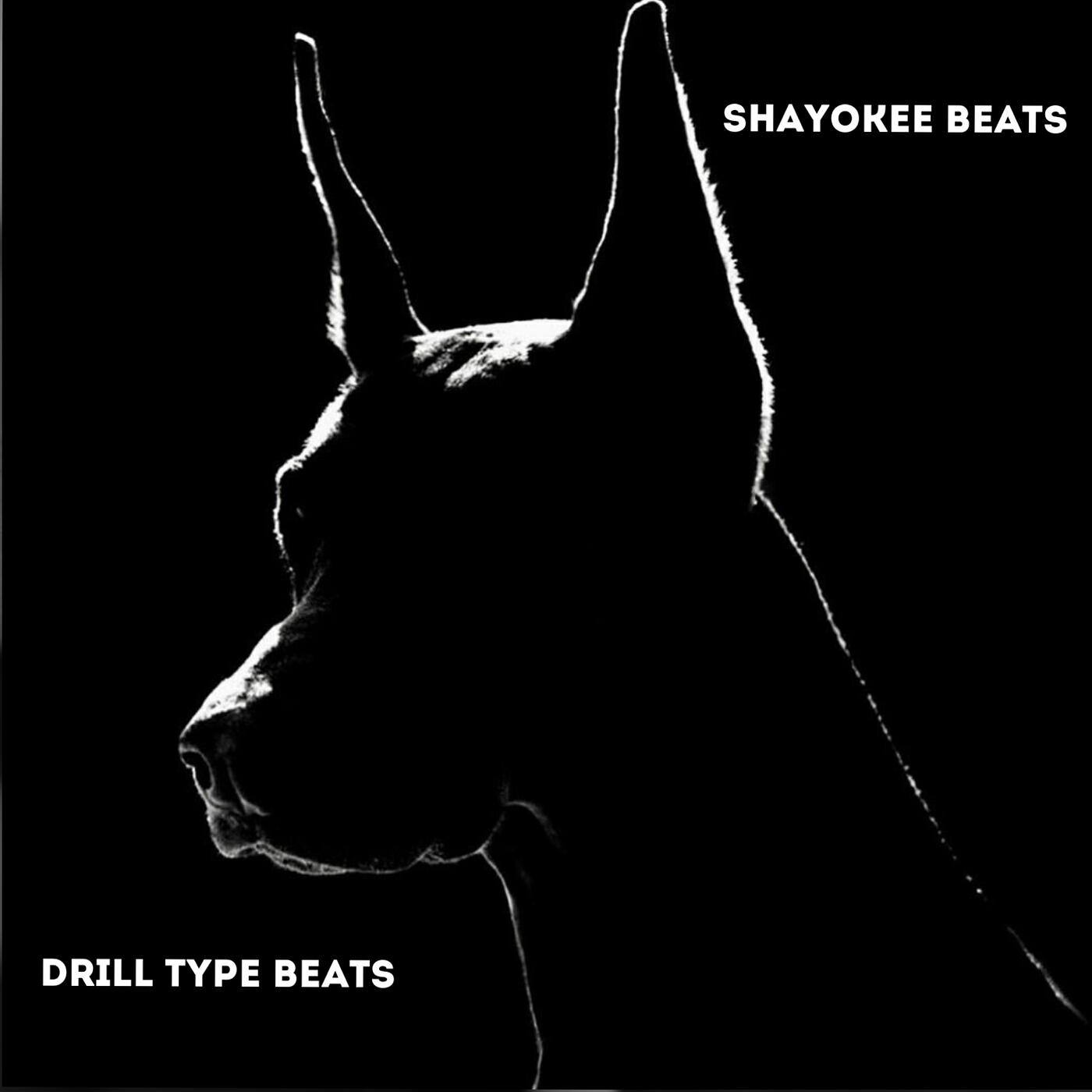 Релиз Drill Type Beats
