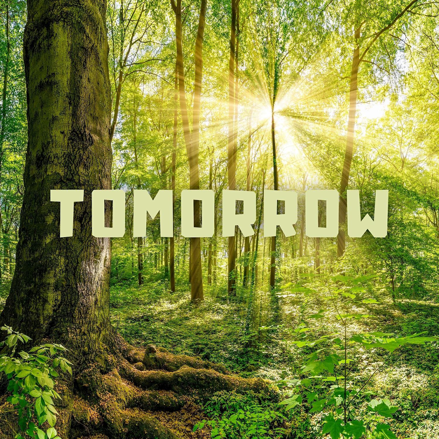 Релиз Tomorrow