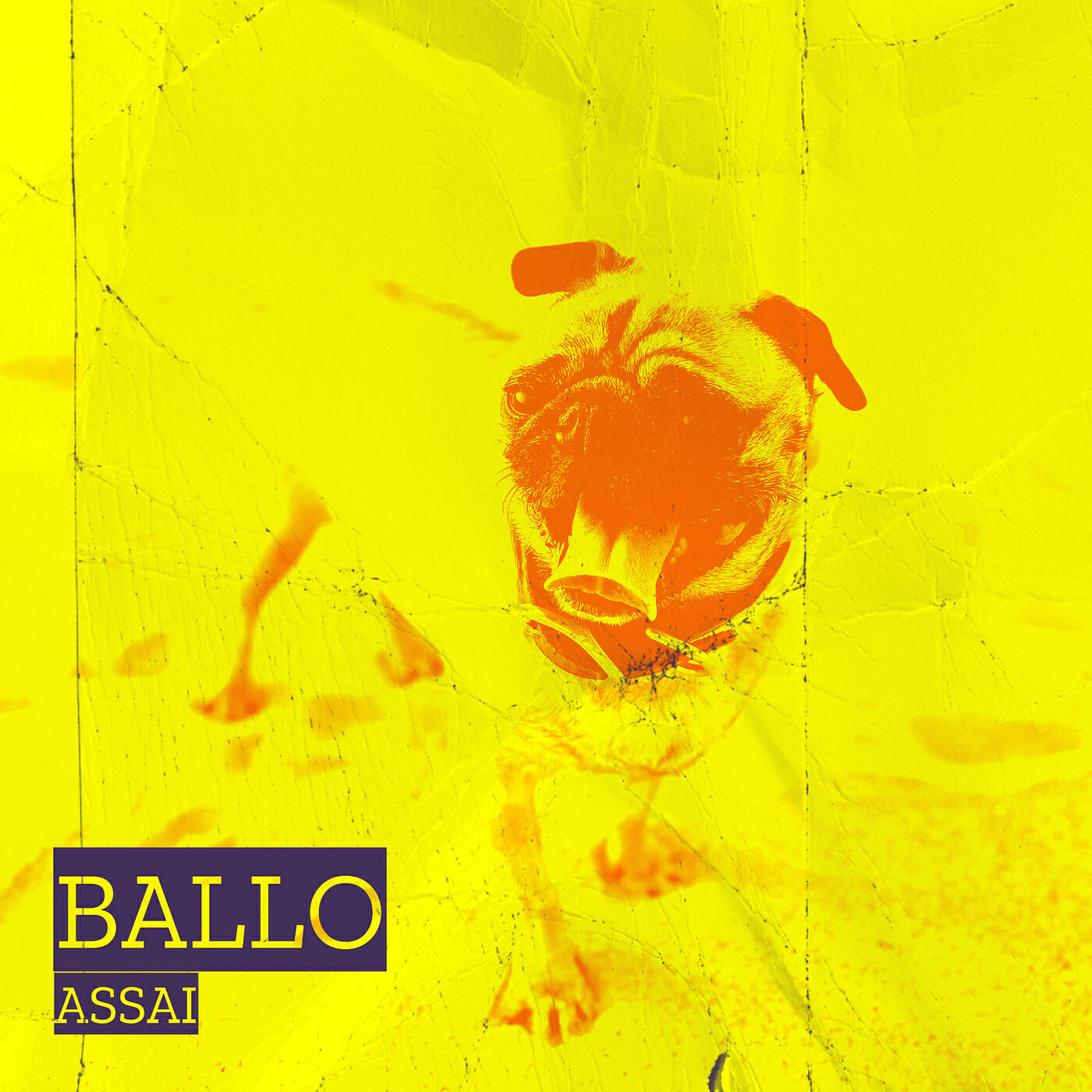 Релиз Ballo