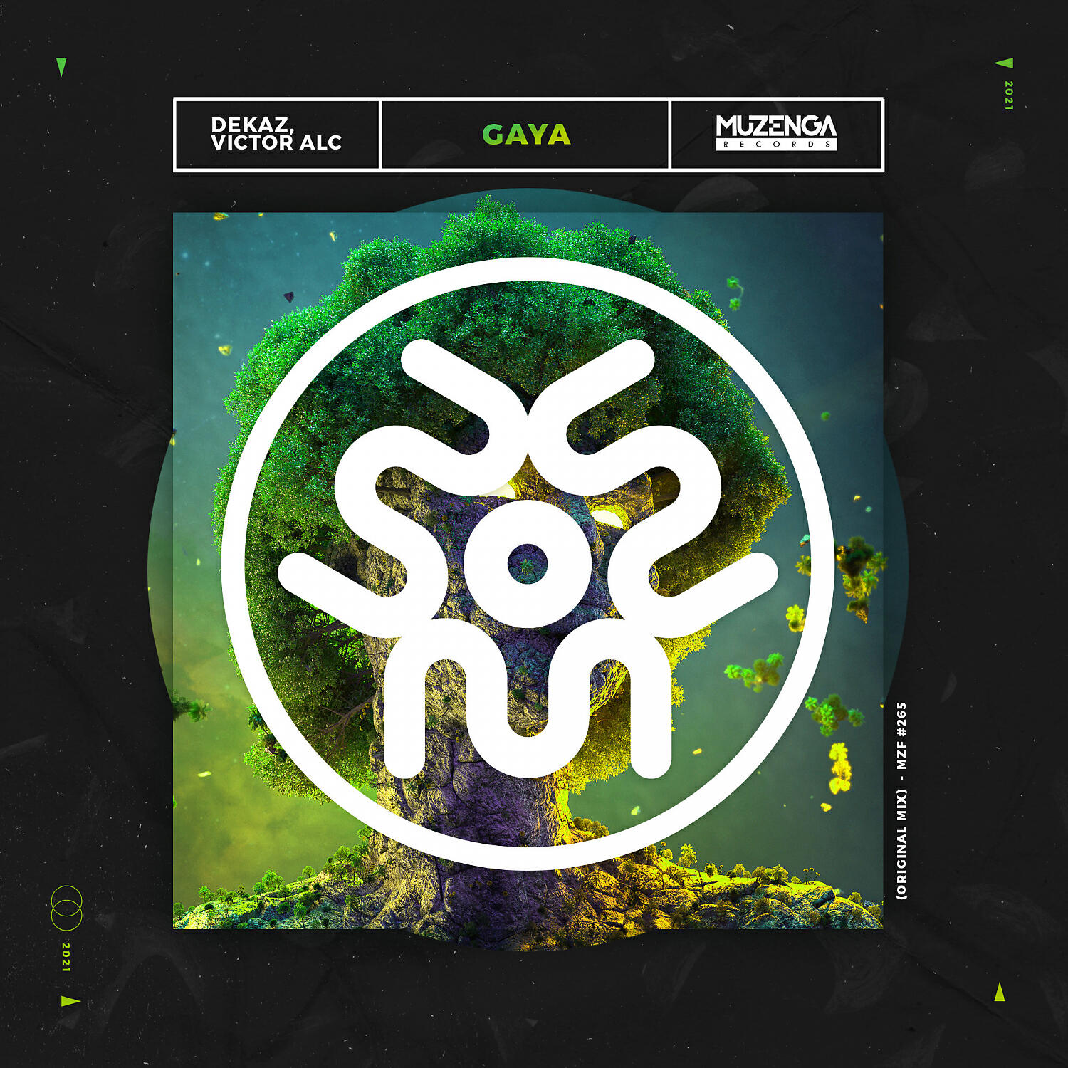 Релиз Gaya