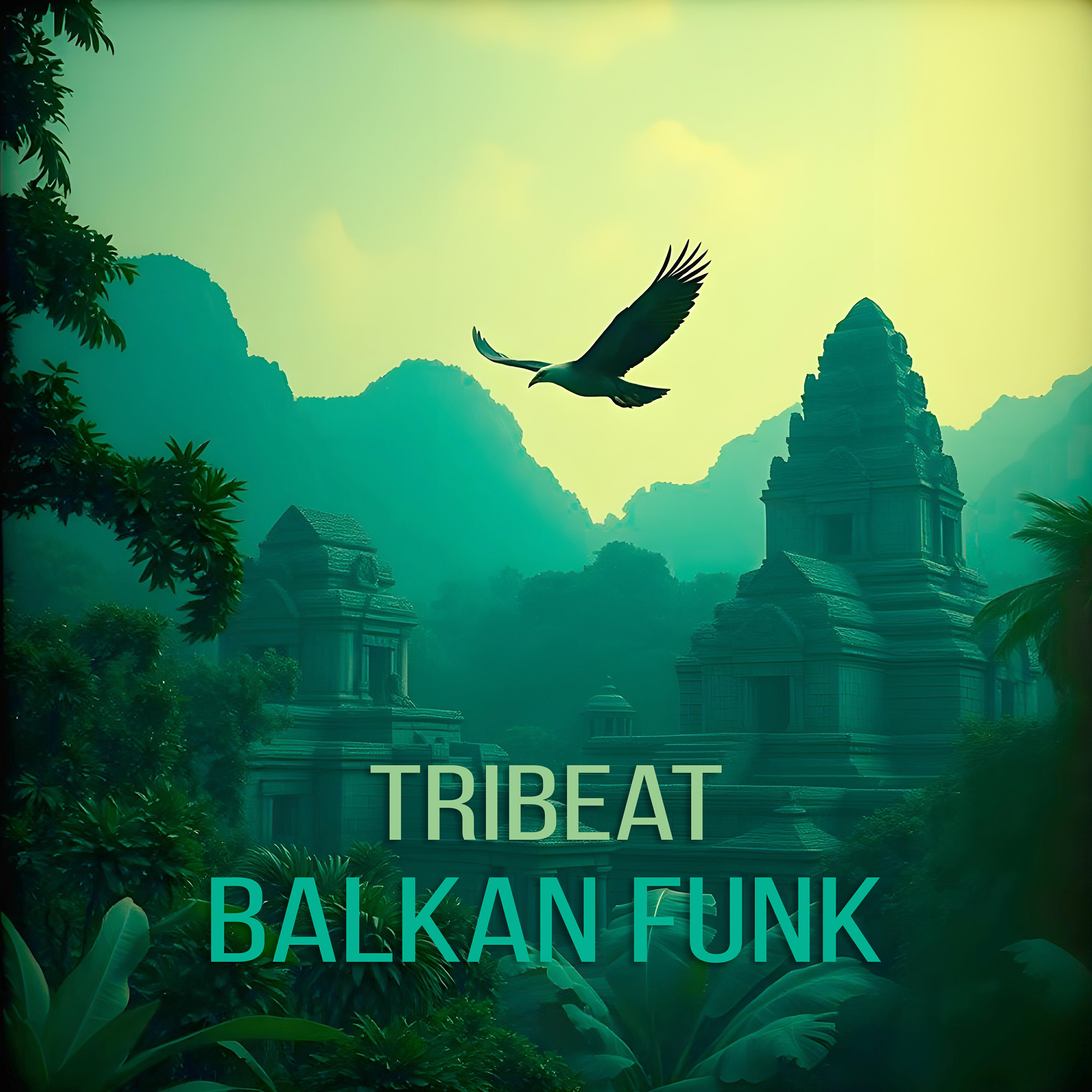 Релиз Balkan Funk