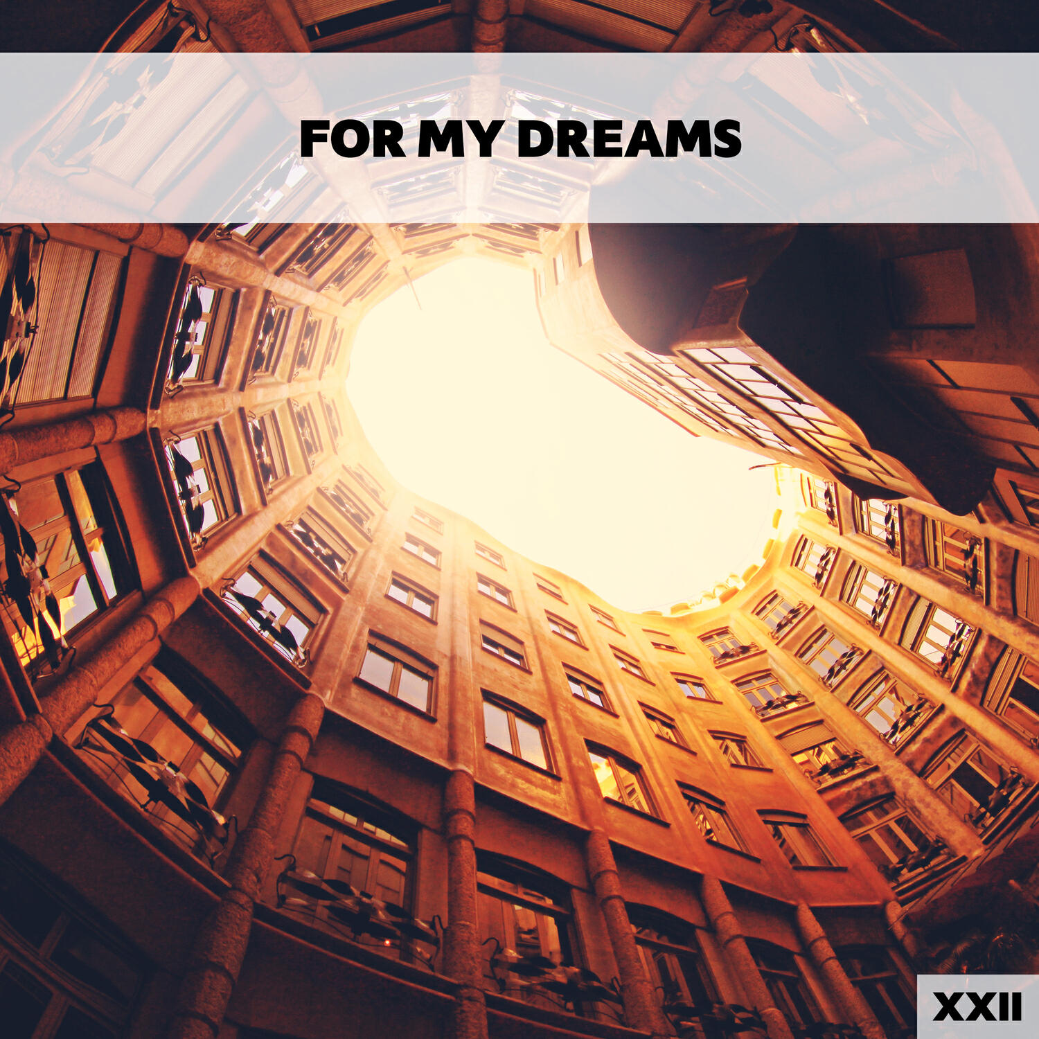 Релиз For My Dreams XXII