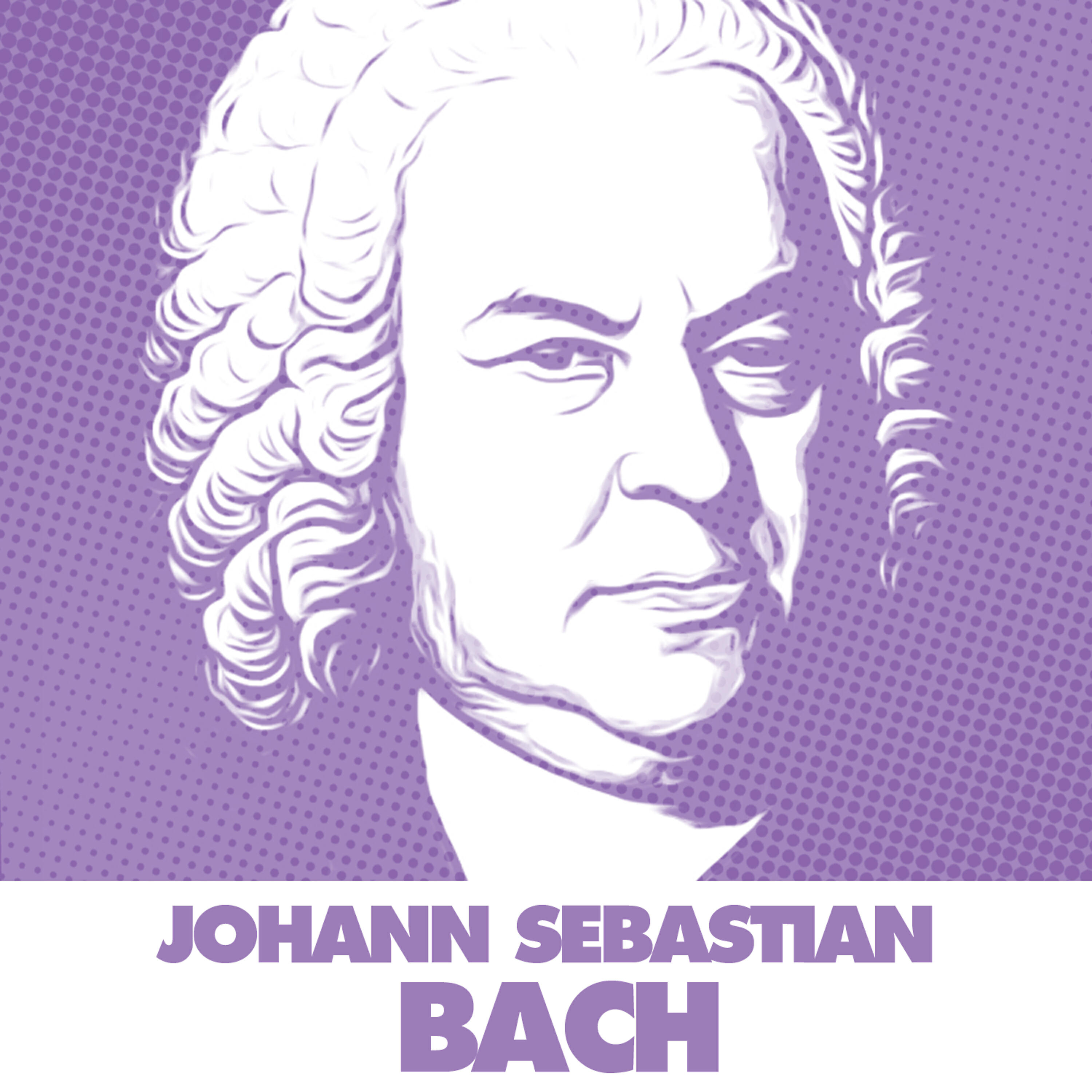 L'Orchestre De Chambre Slovaque Dirigé Par Bohdan Warchal