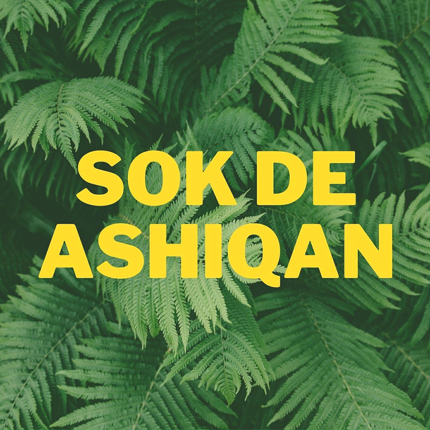 Релиз Sok De Ashiqan
