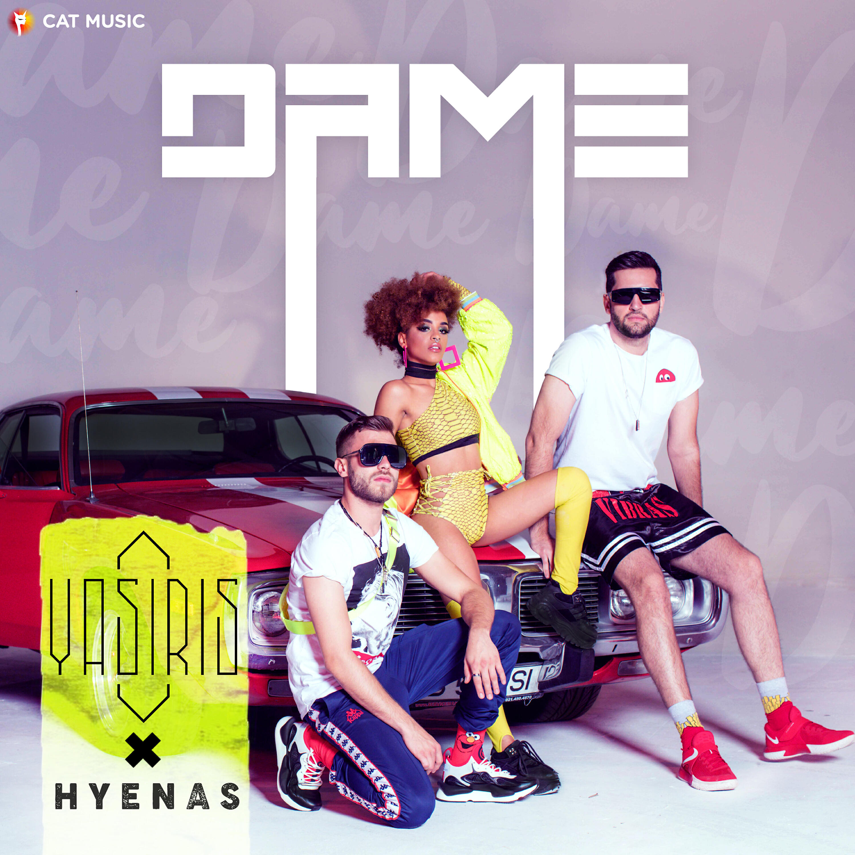 Релиз Dame