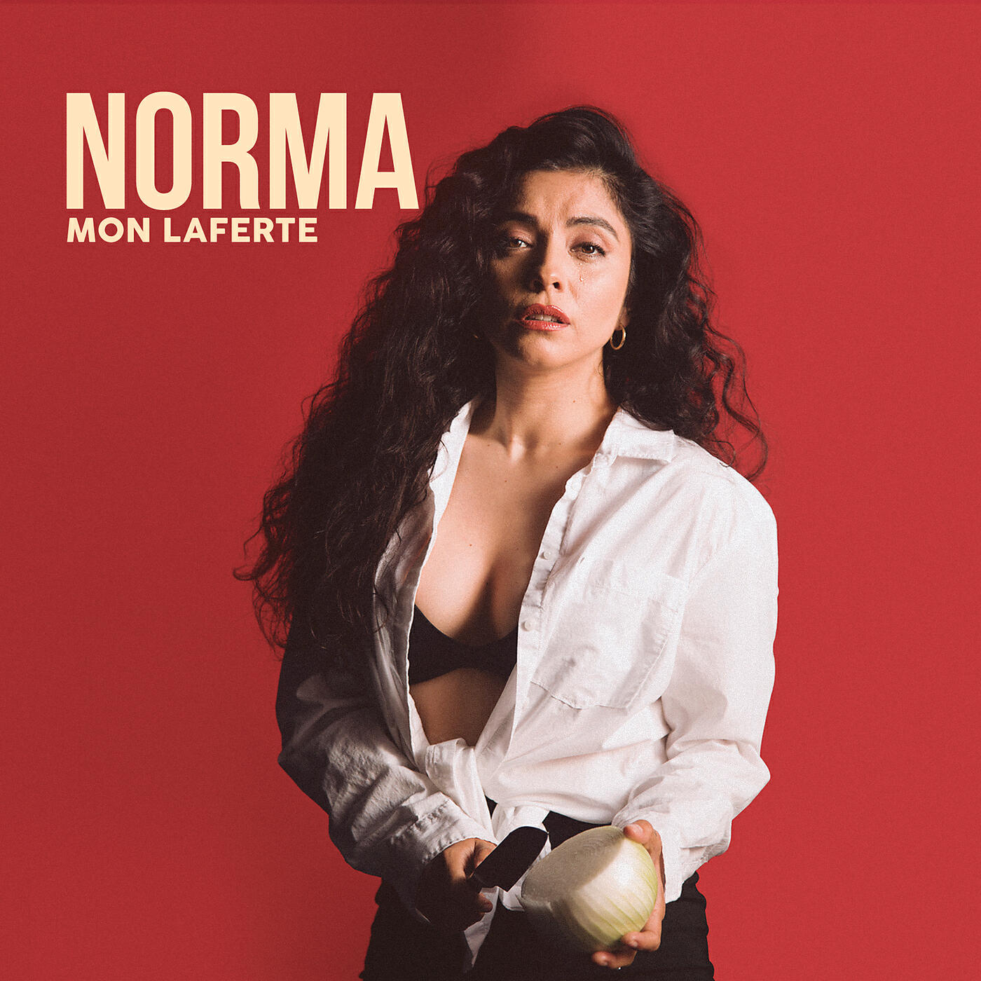 Релиз Norma