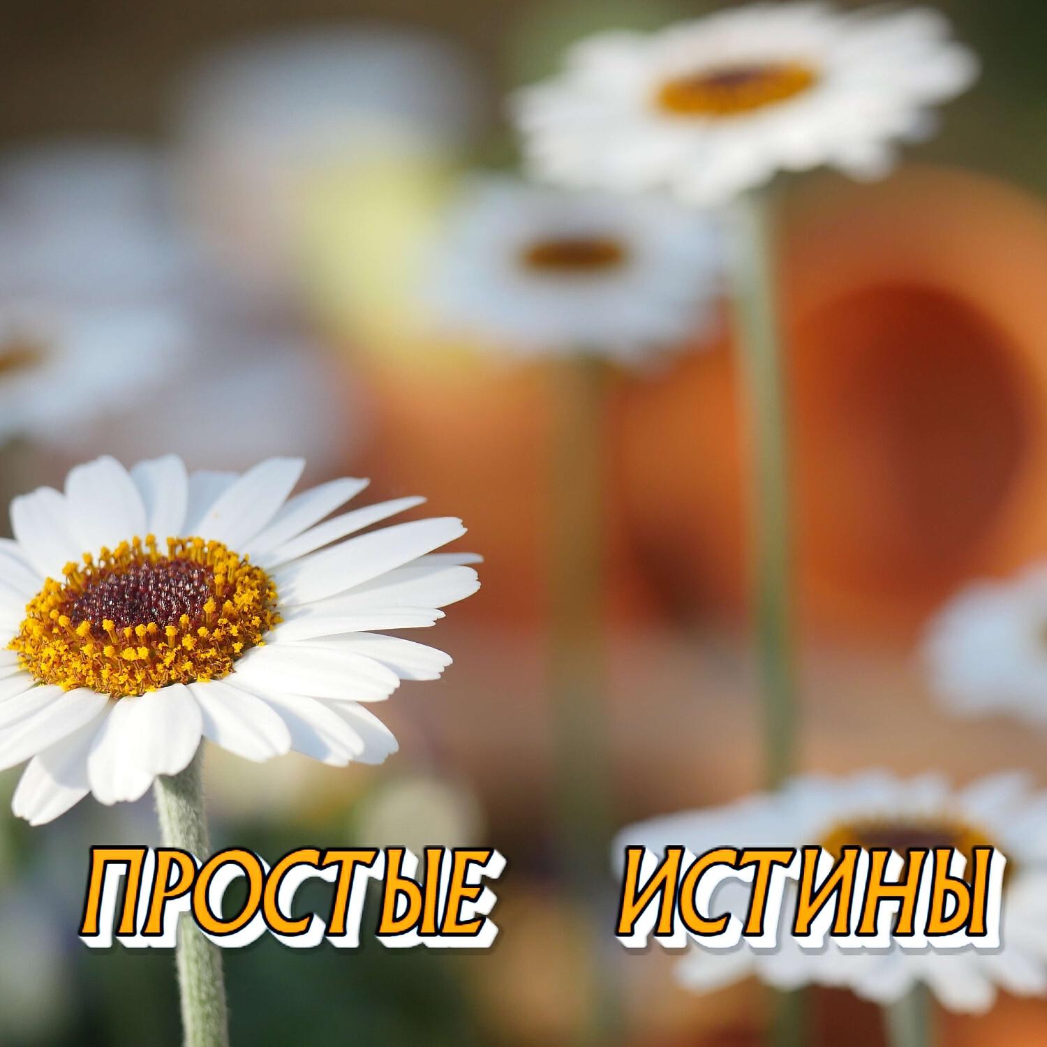 Релиз ПРОСТЫЕ ИСТИНЫ