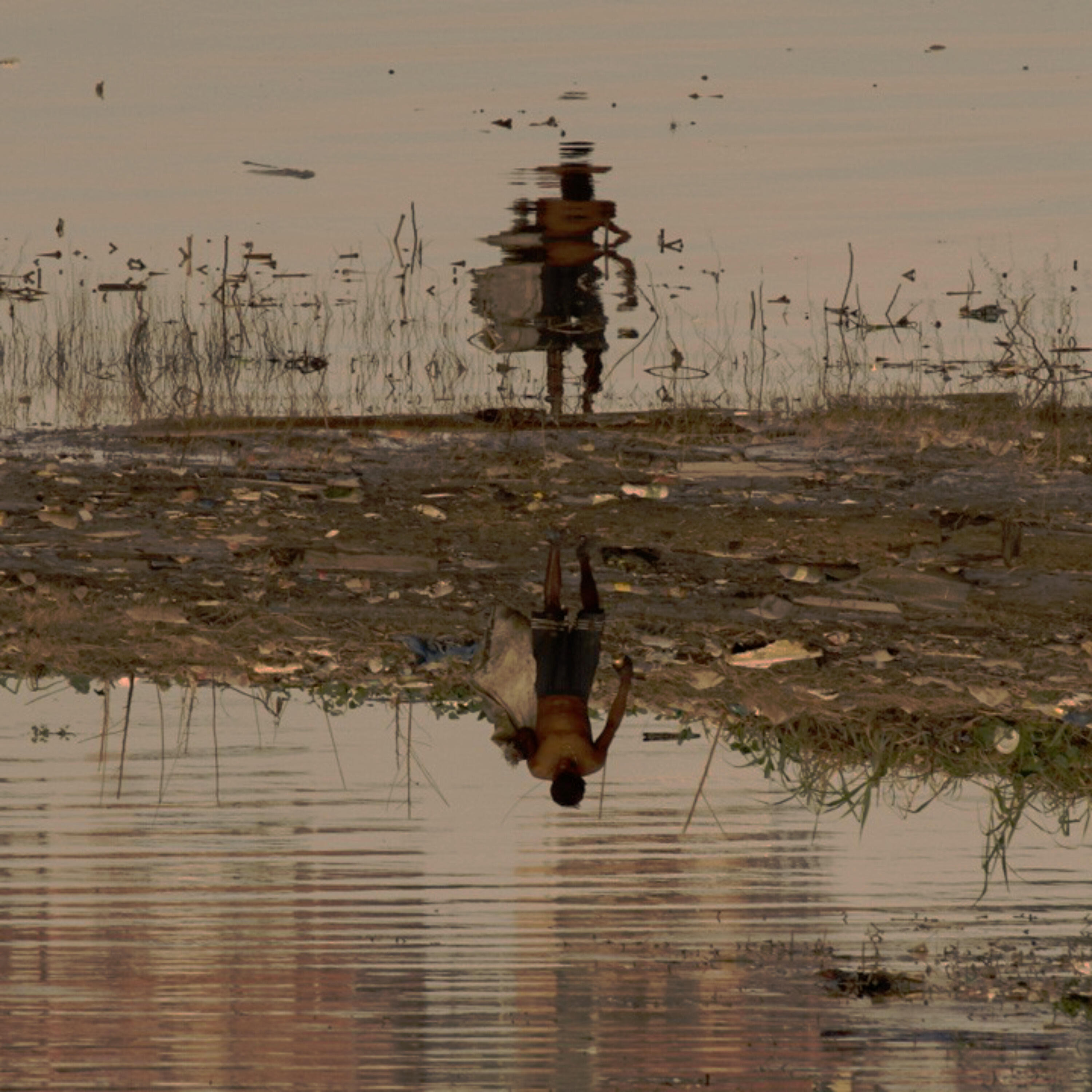 Релиз Reflexo