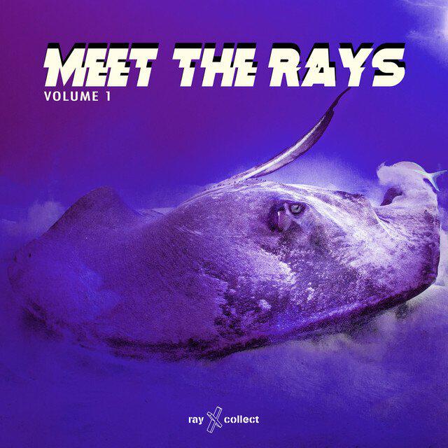 Релиз Meet The Rays EP, Vol.1