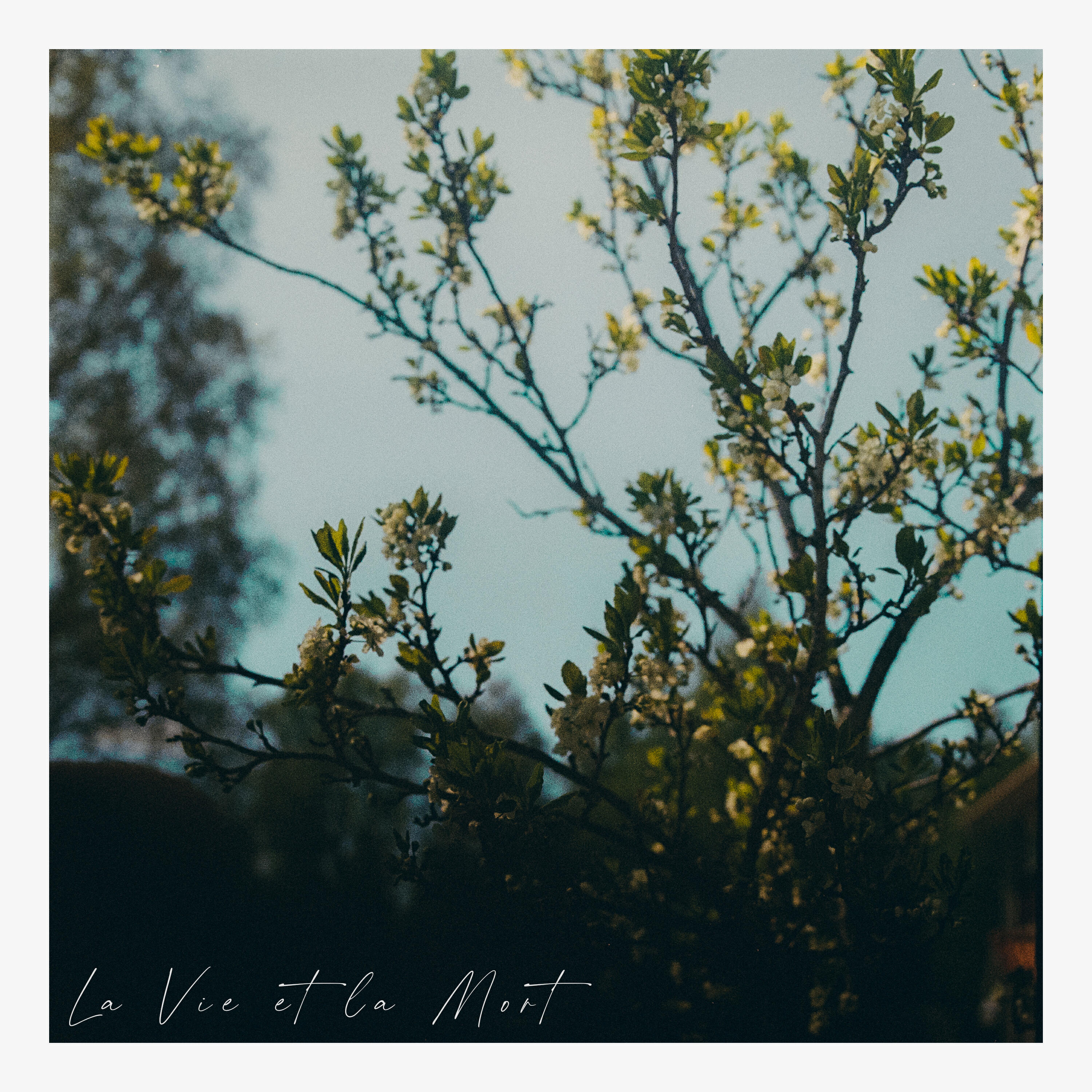 Релиз La Vie et la Mort