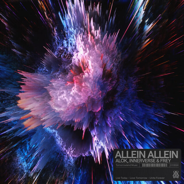 Постер альбома Allein Allein