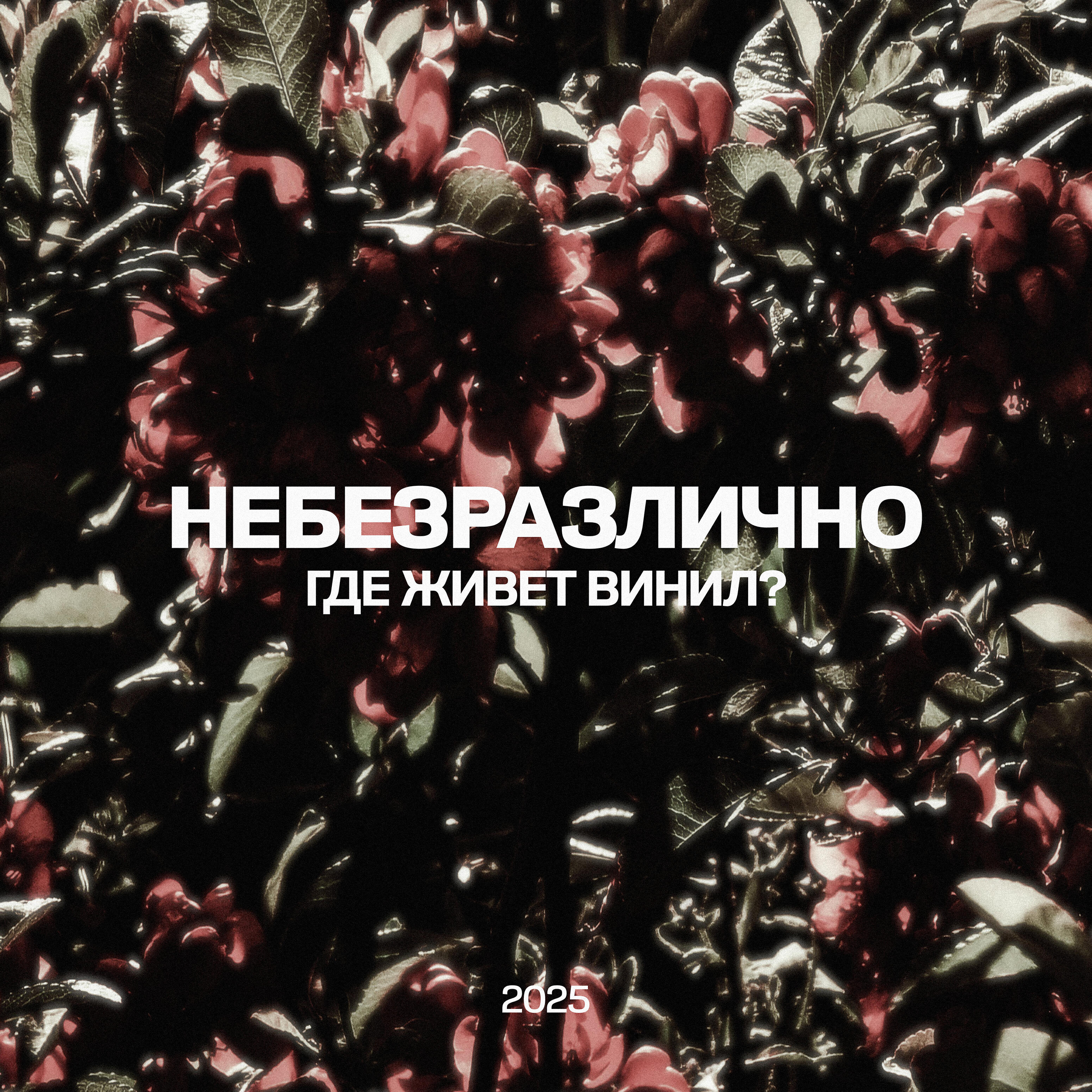 где живет винил?