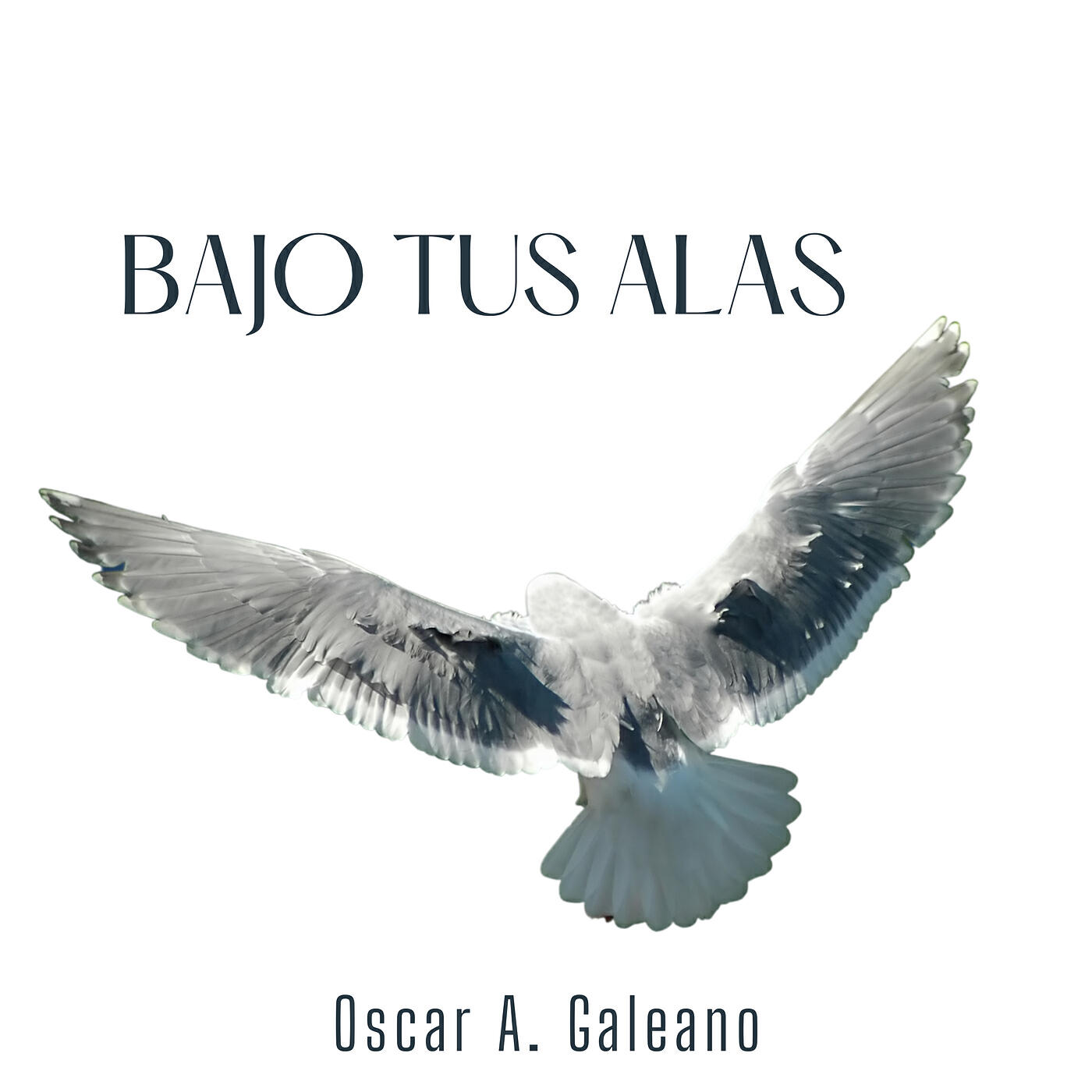 Oscar A Galeano