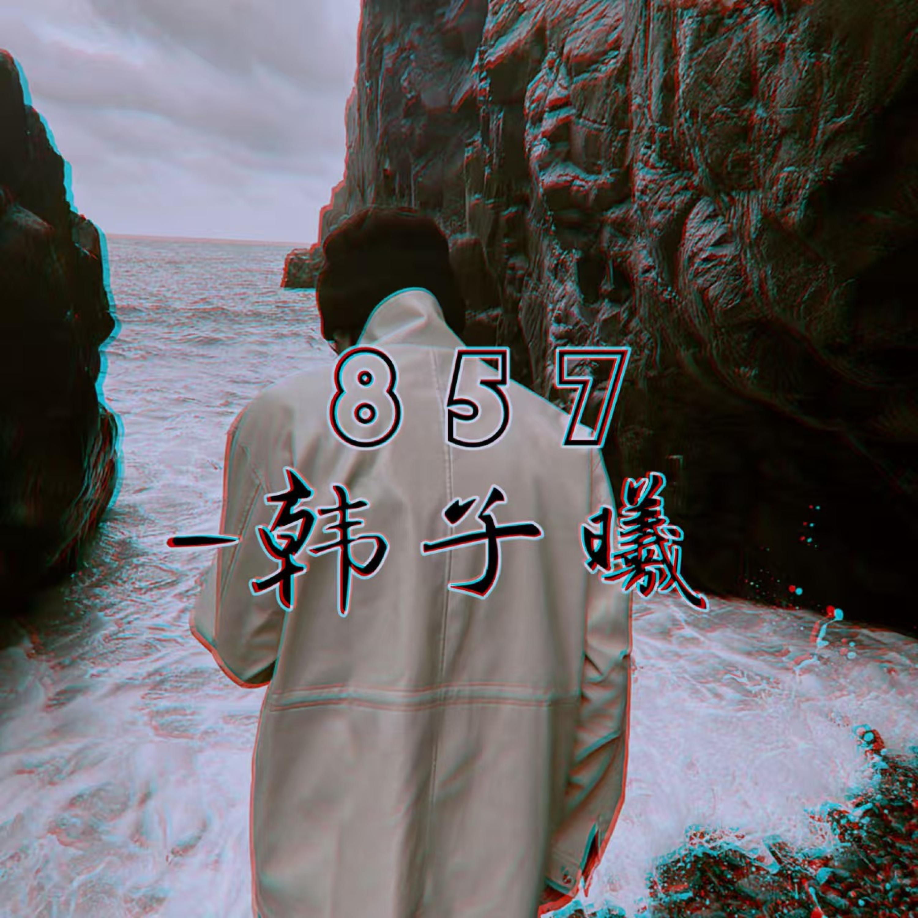 Релиз 857 (DJ版)