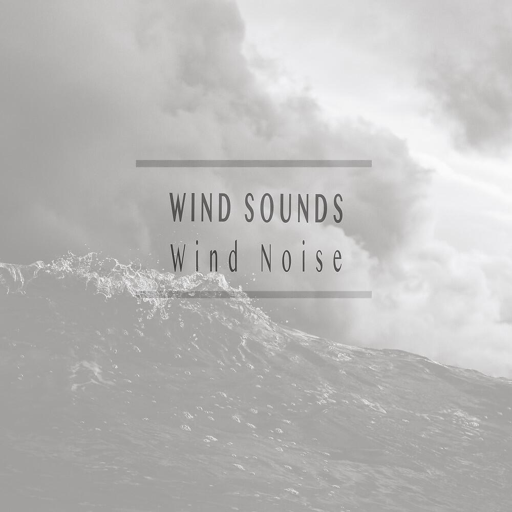 Релиз Wind Noise