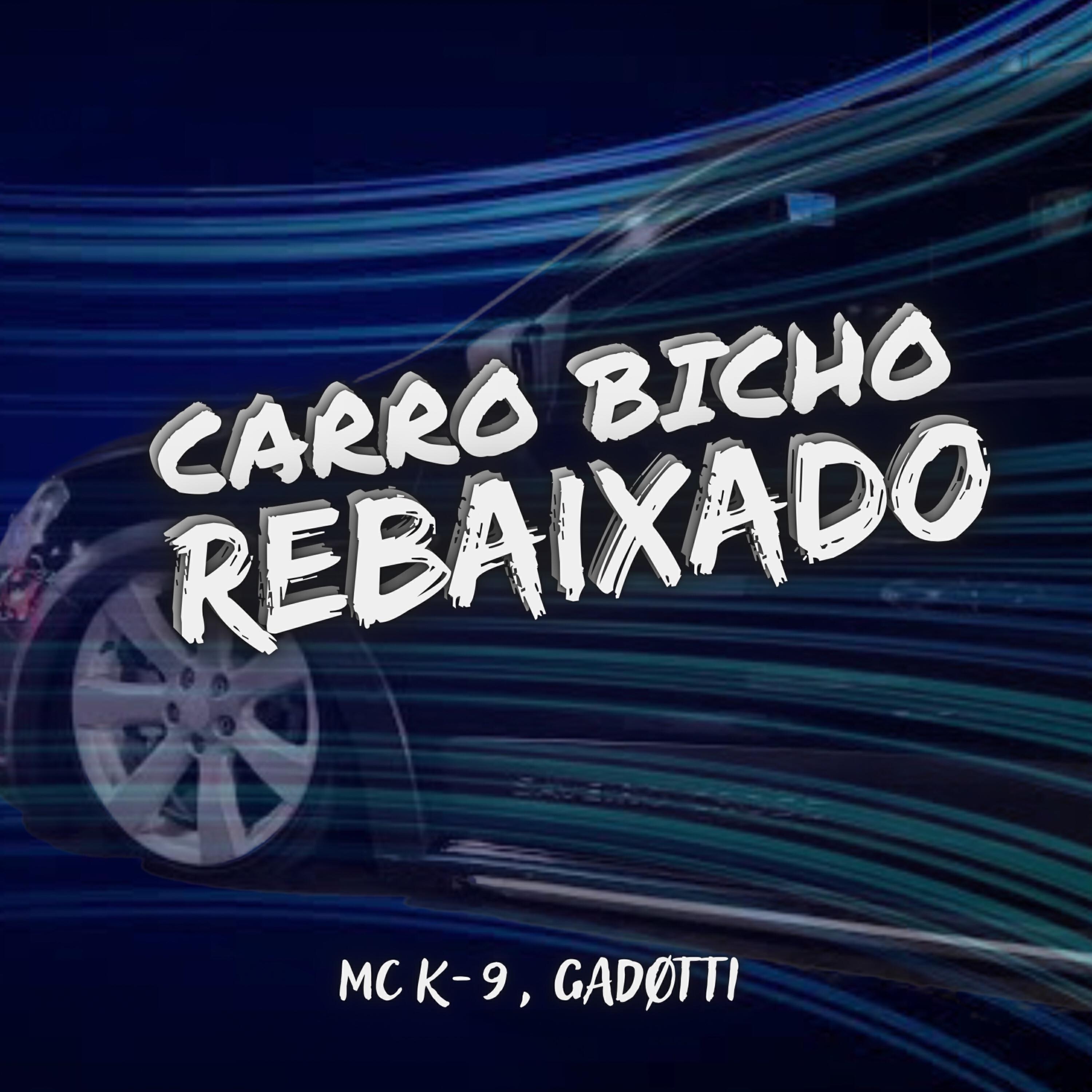 Релиз Carro Bicho Rebaixado