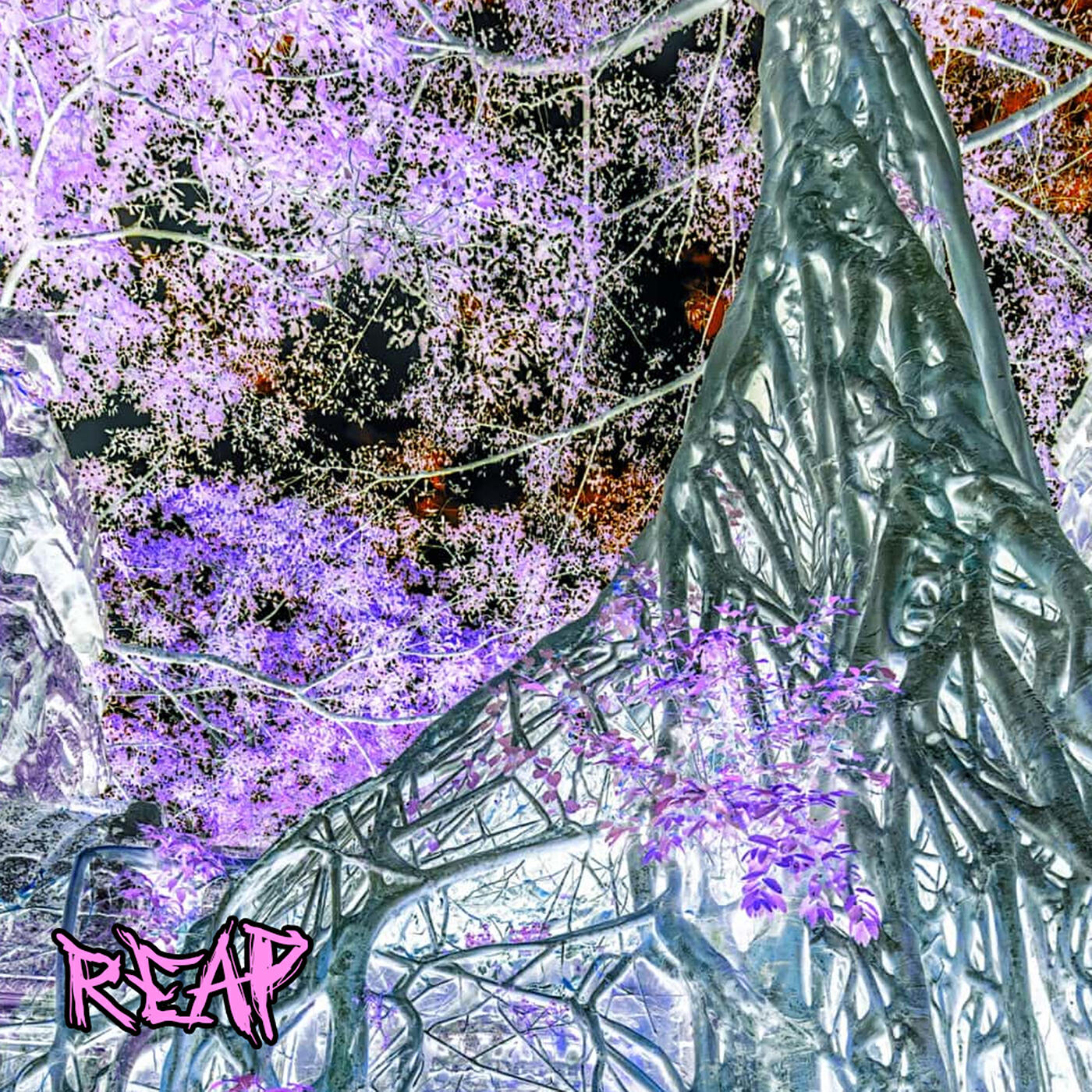 Релиз Reap