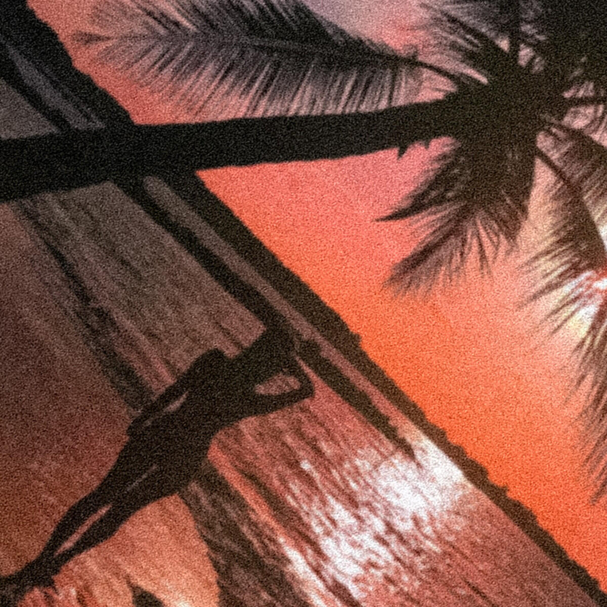 Релиз Playa y Weed