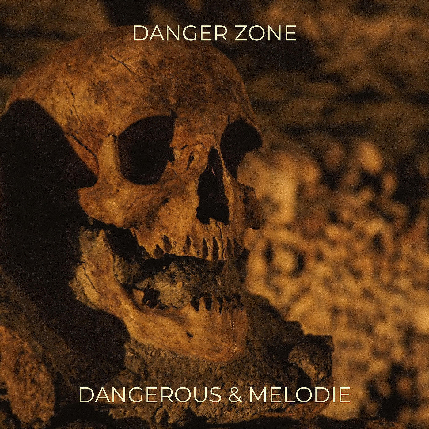Релиз Danger Zone