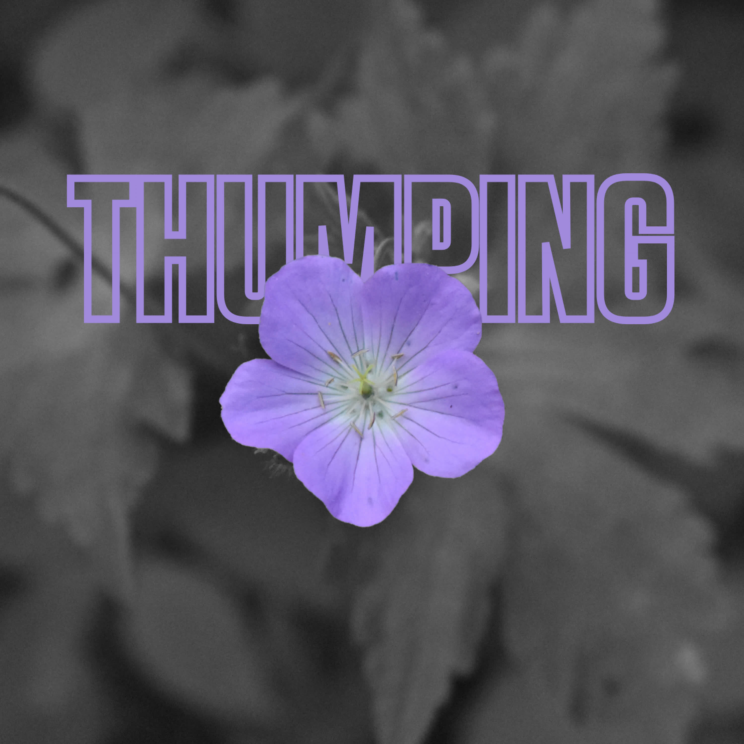 Релиз Thumping