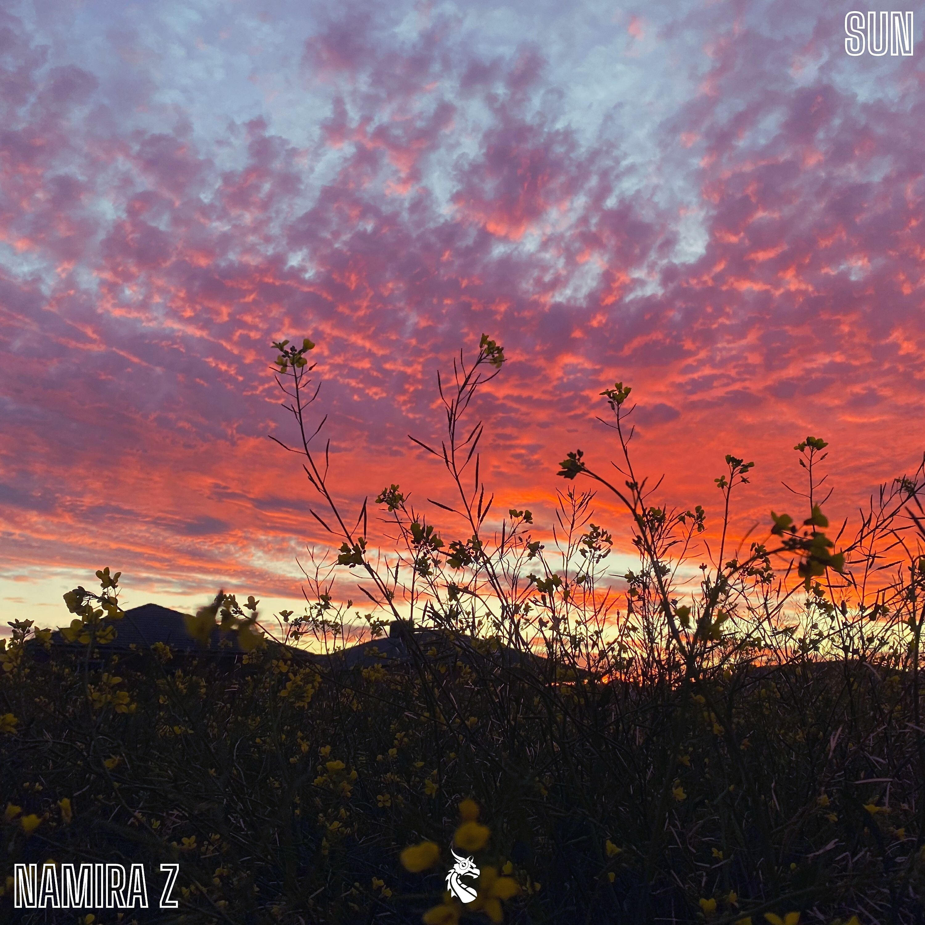 Релиз Sun