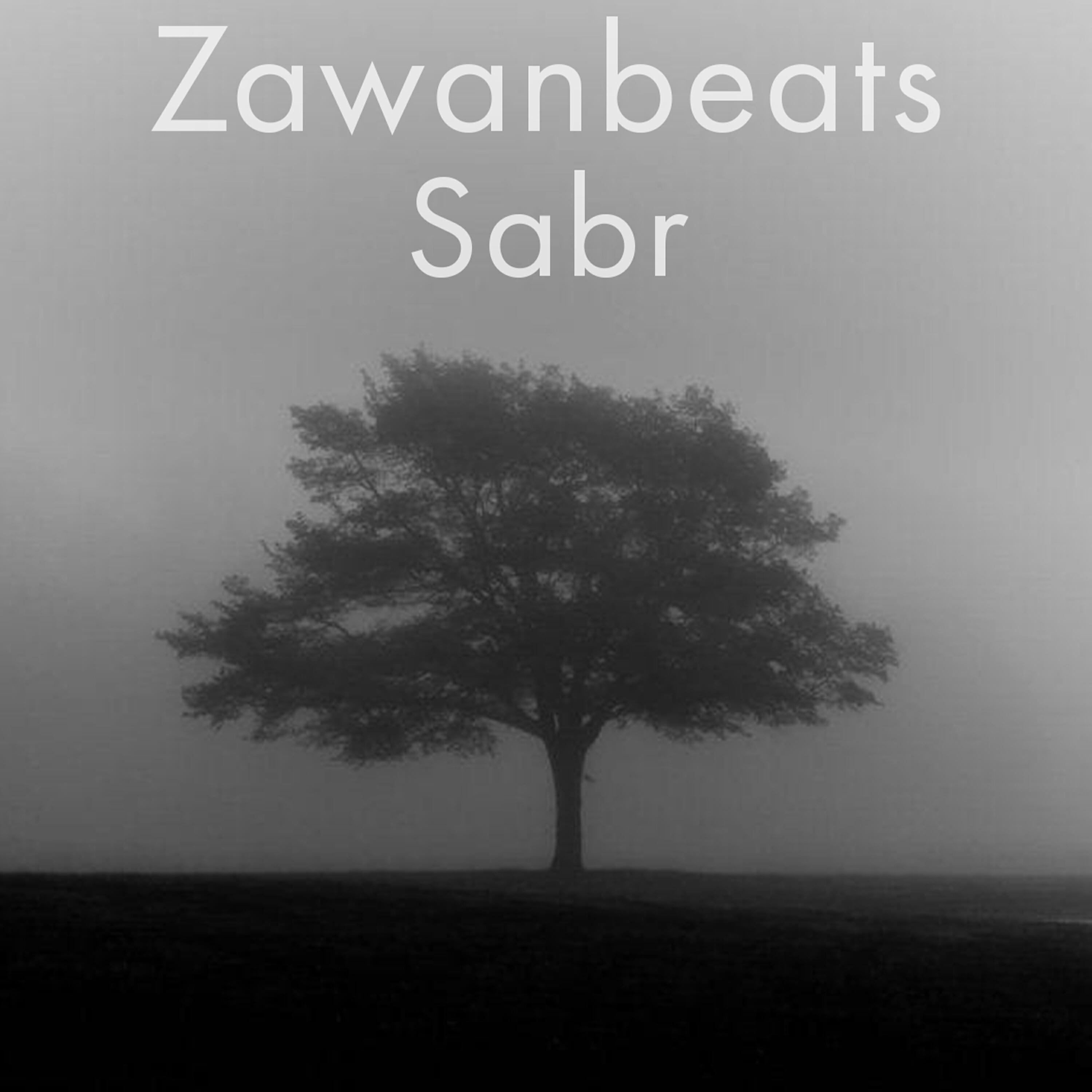 Релиз Sabr