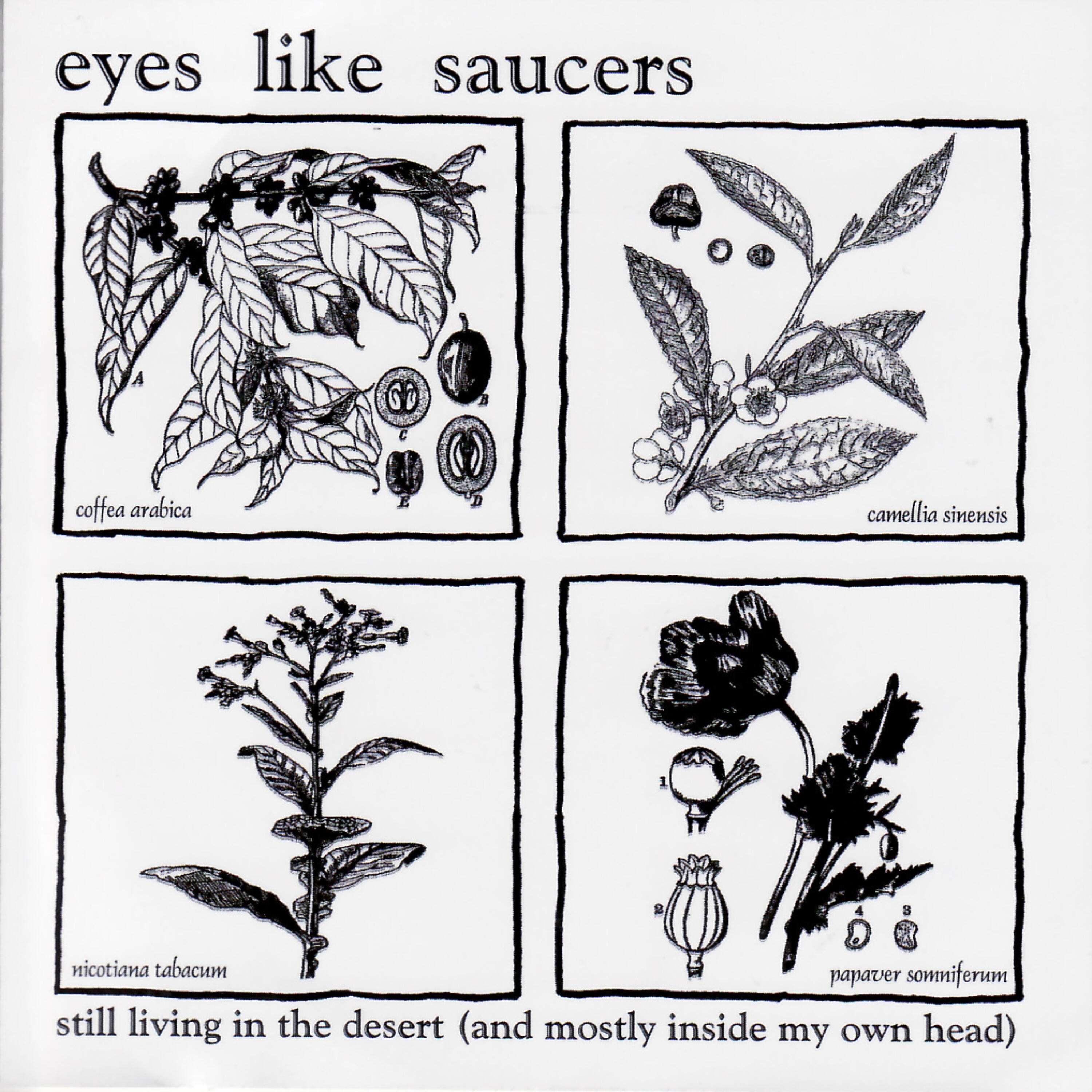 Релиз Still Living In the Desert (and Mostly Inside My Own Head)