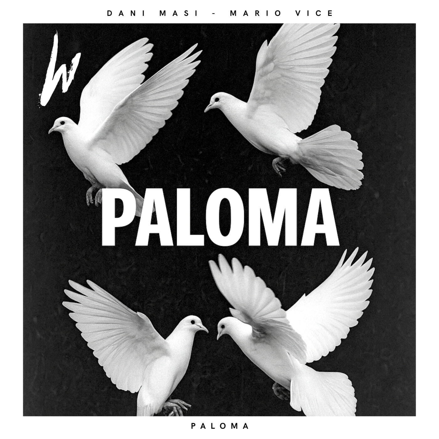 Релиз Paloma