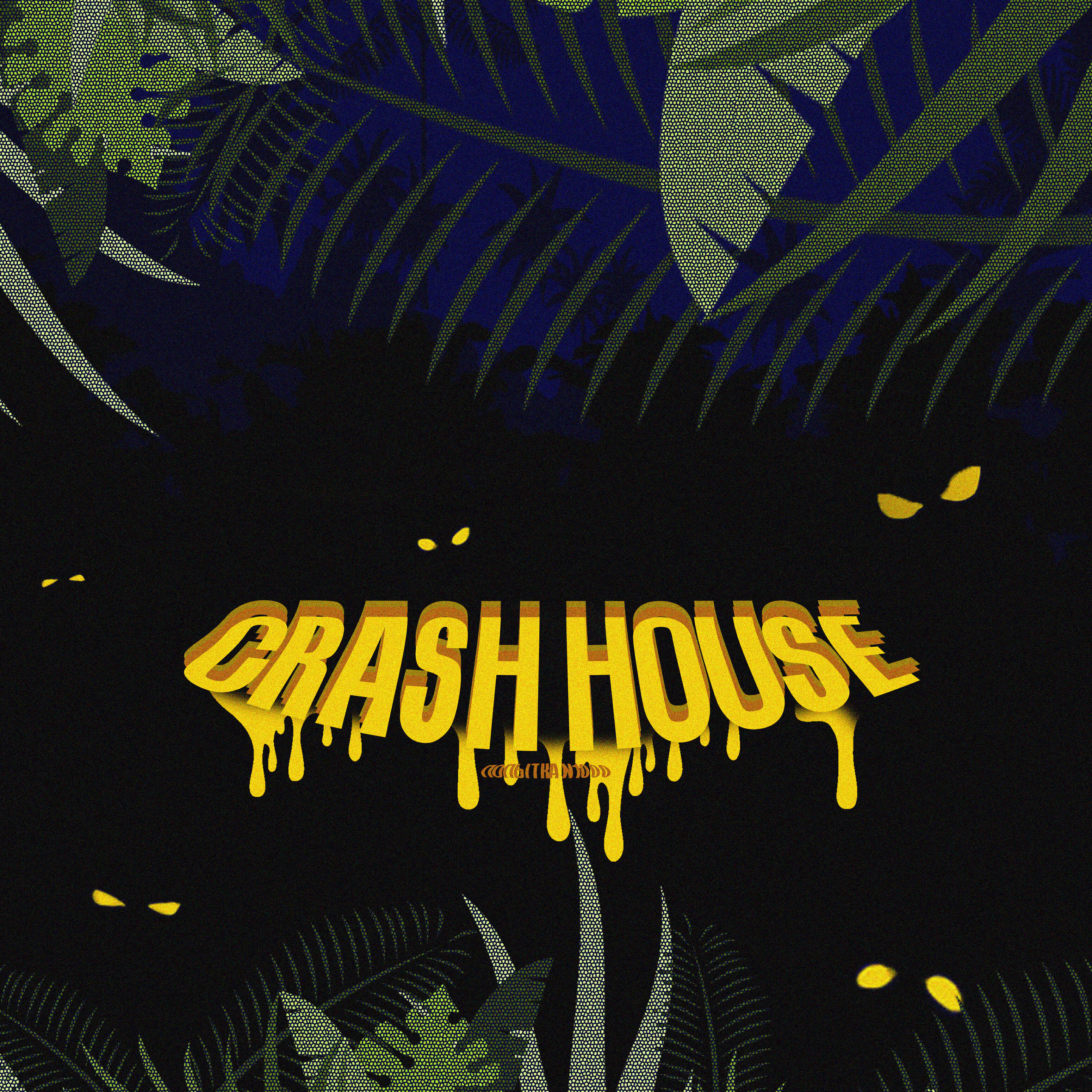 Crash House