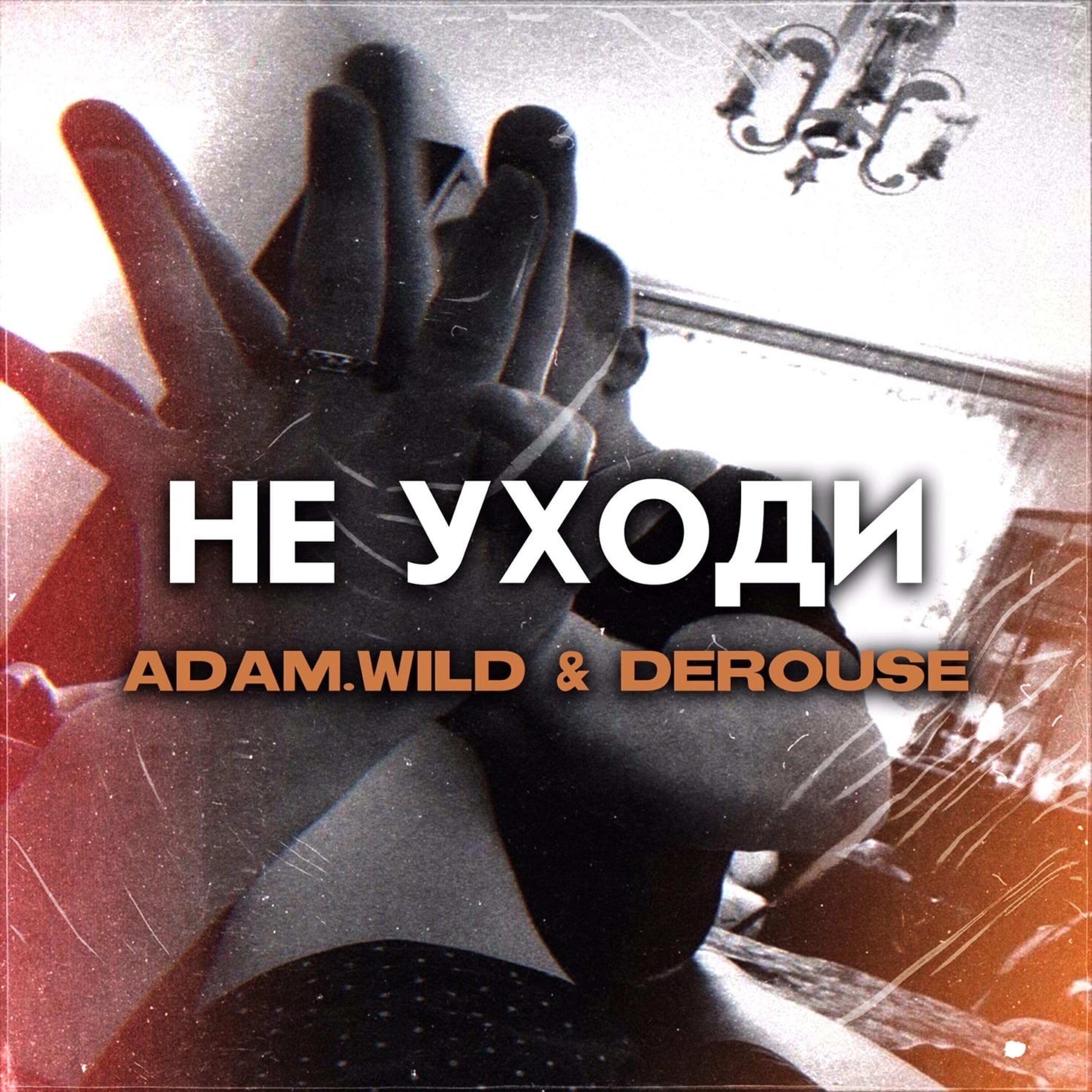ADAM.WILD