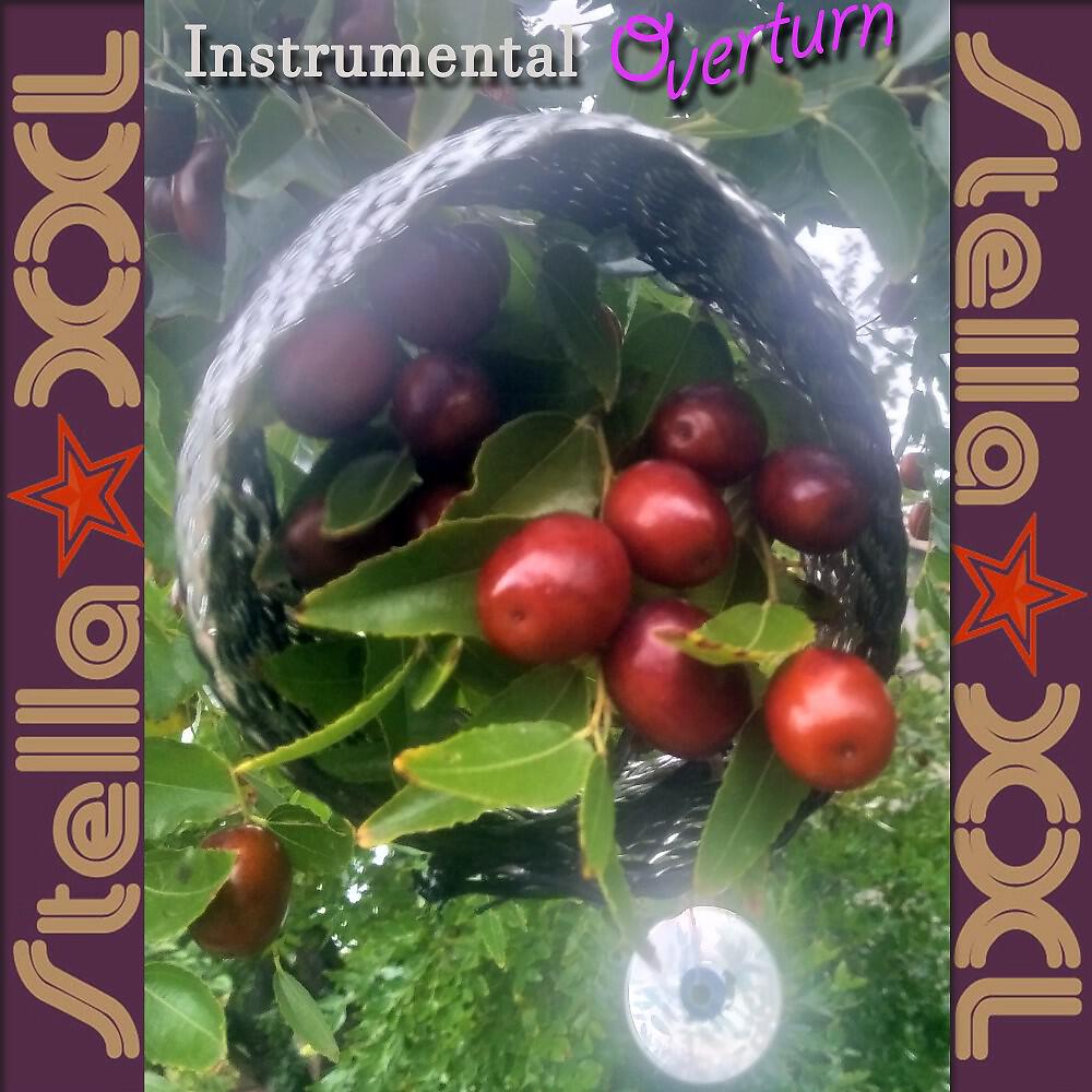 Релиз Instrumental Overturn