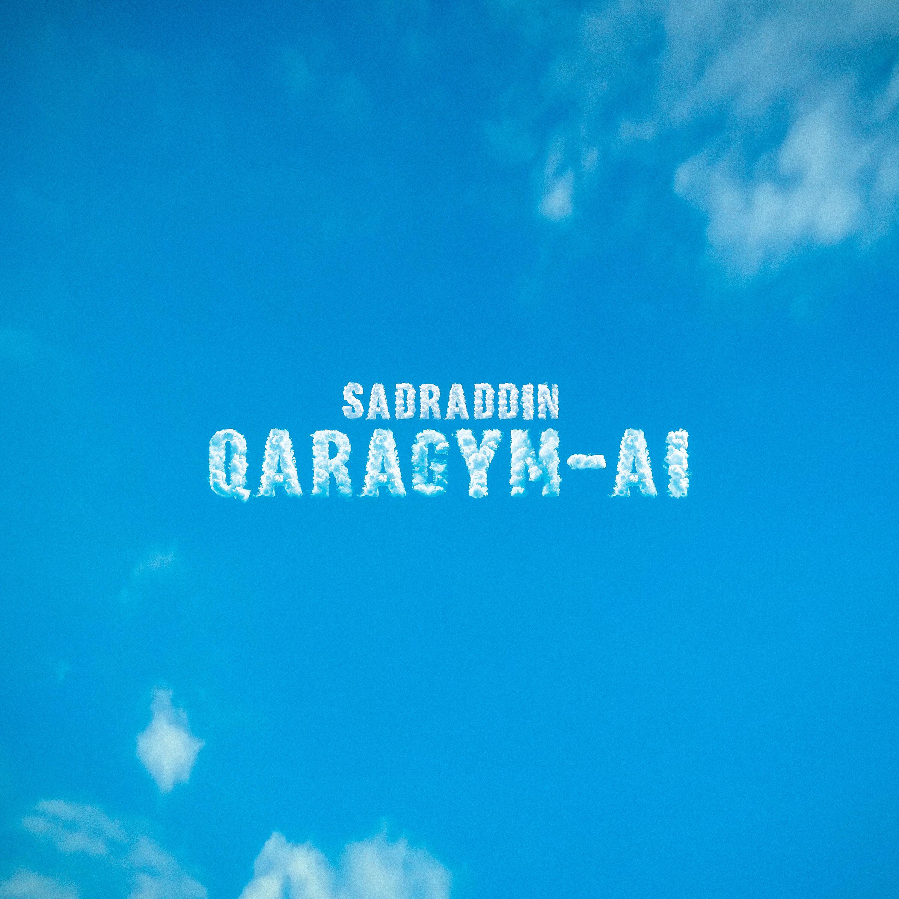 Постер альбома Qaragym-ai