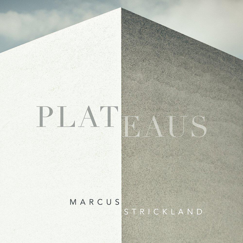 Релиз Plateaus