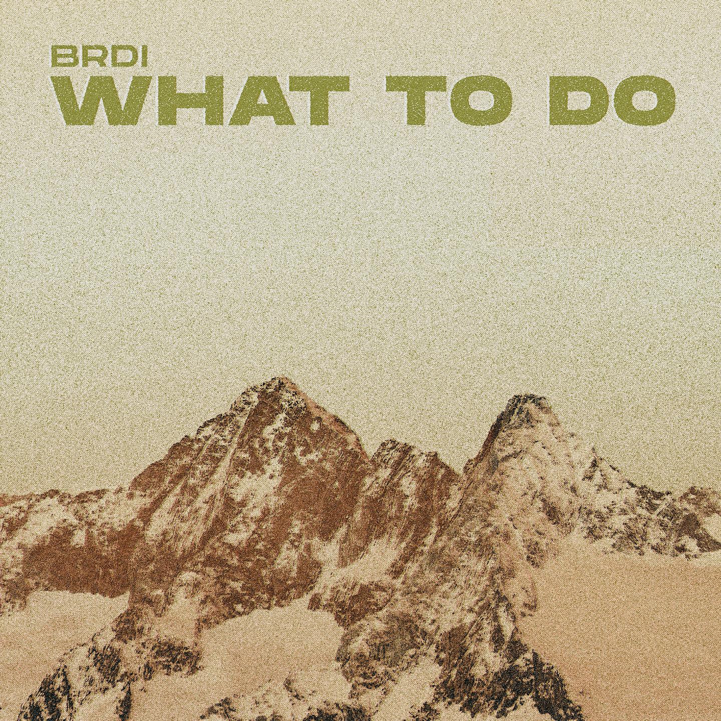 Релиз What to Do