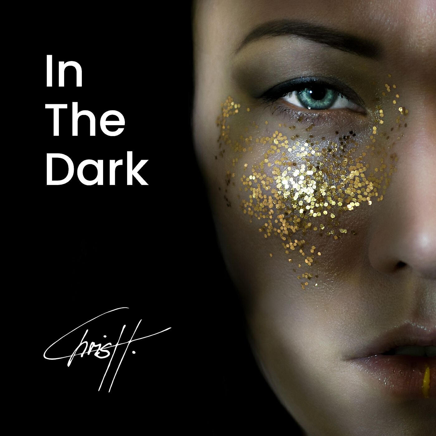 Релиз In the Dark