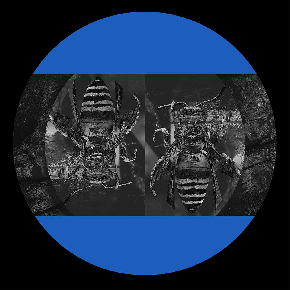 Релиз FormaFantasma
