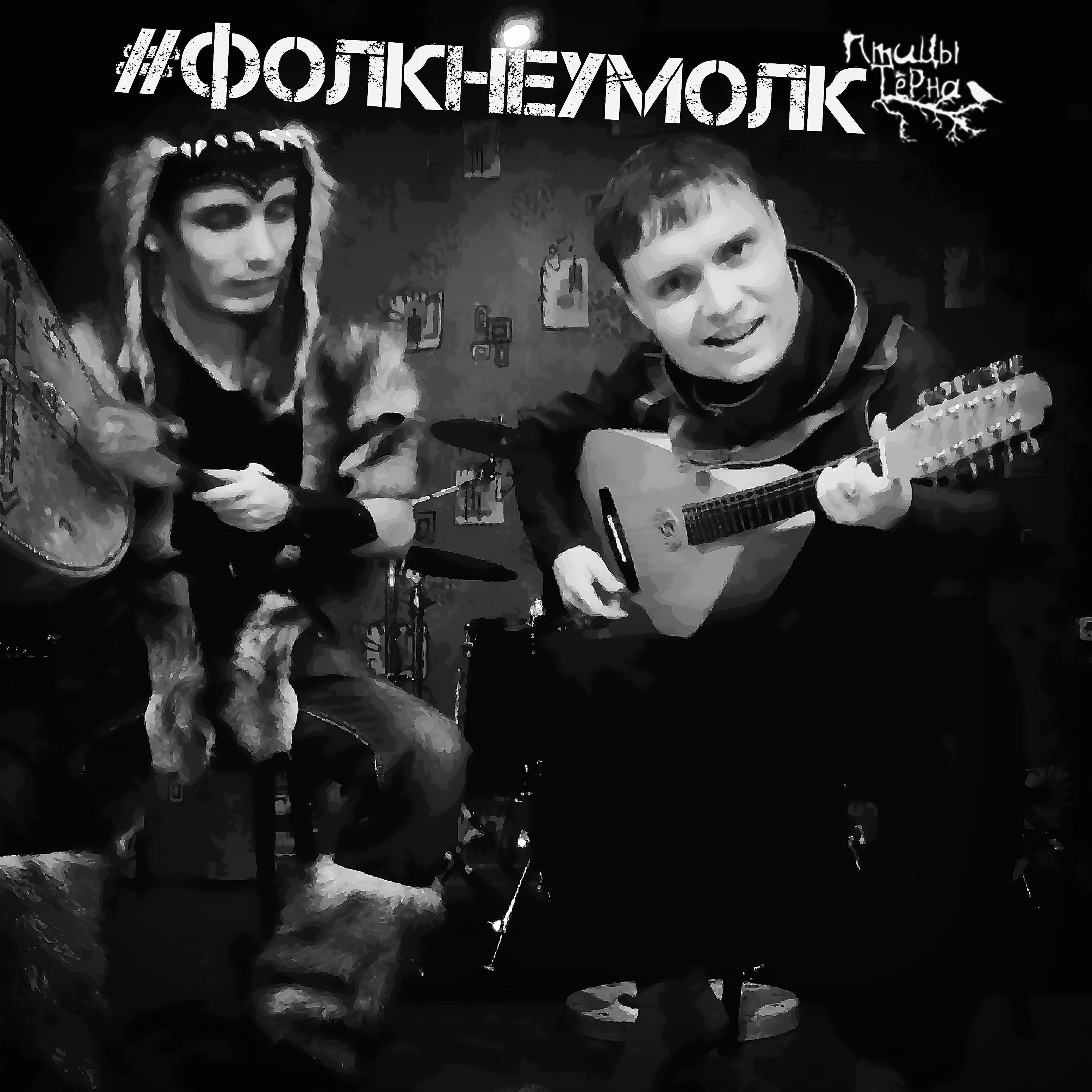 Птицы Тёрна