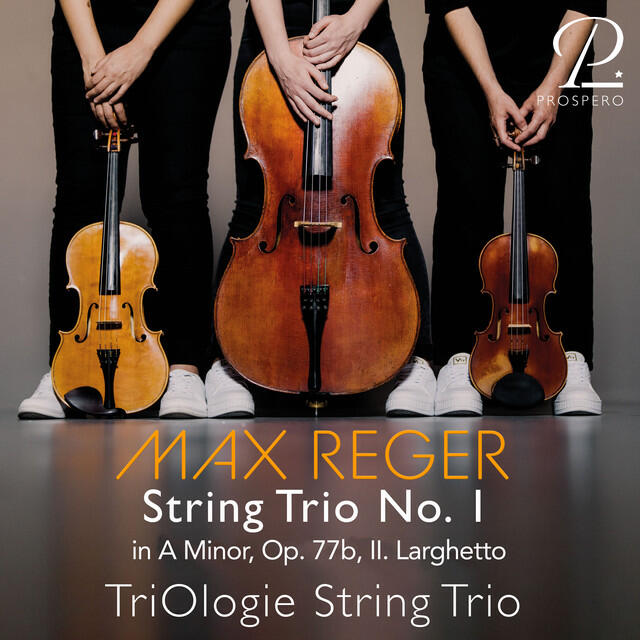 Постер альбома Max Reger: String Trio No. 1 in A Minor, Op. 77b: II. Larghetto