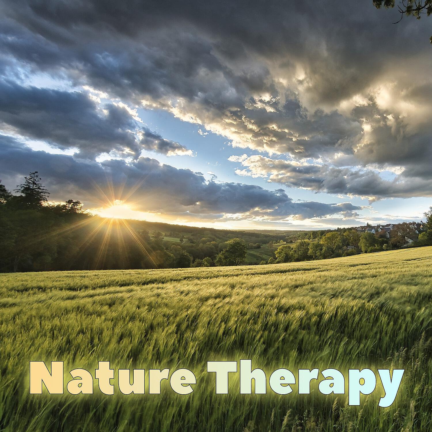 Bruit de la Nature
